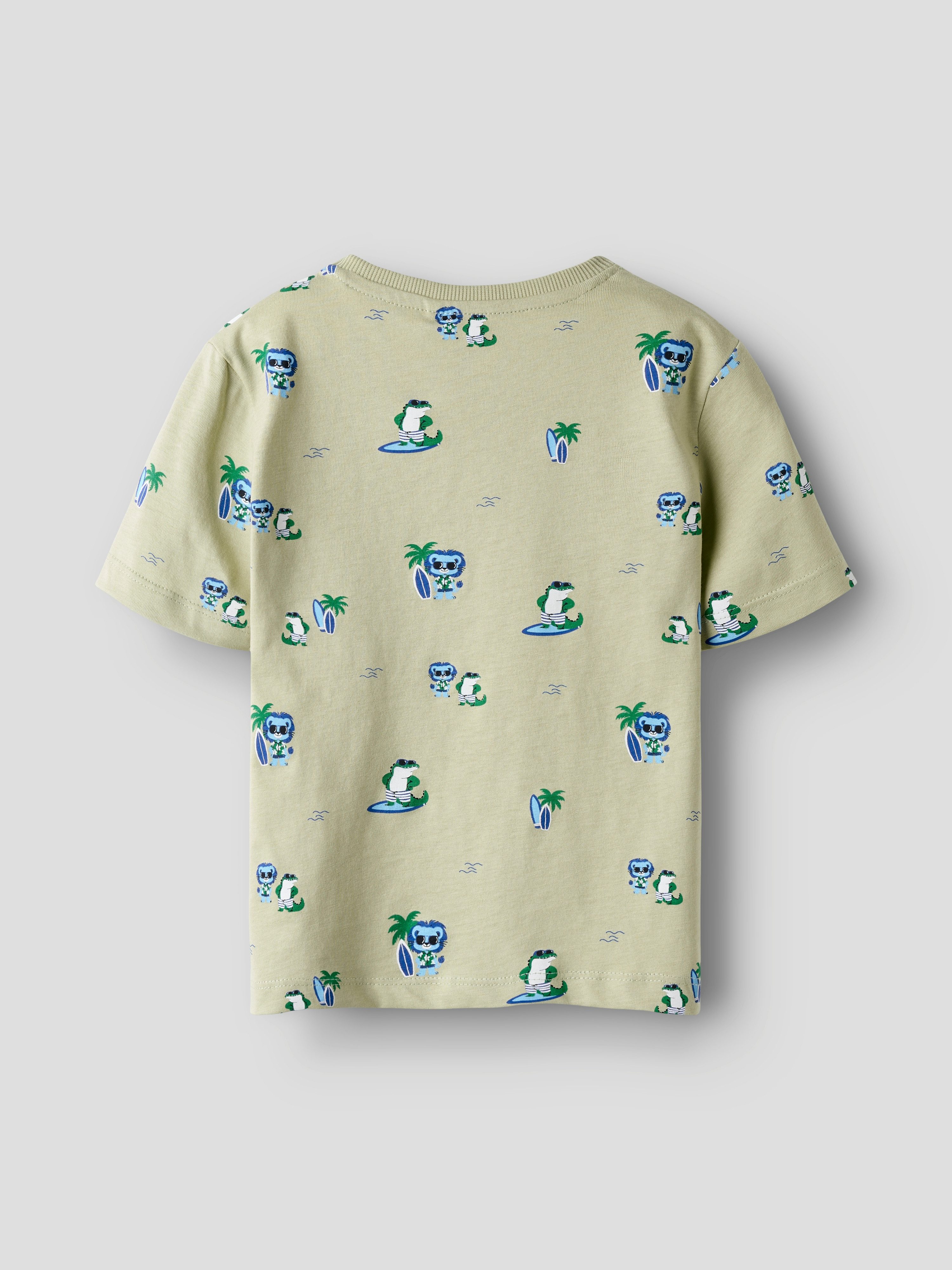 Name It Kurzarmshirt NMMJAXON SS NREG TOP BOX PB