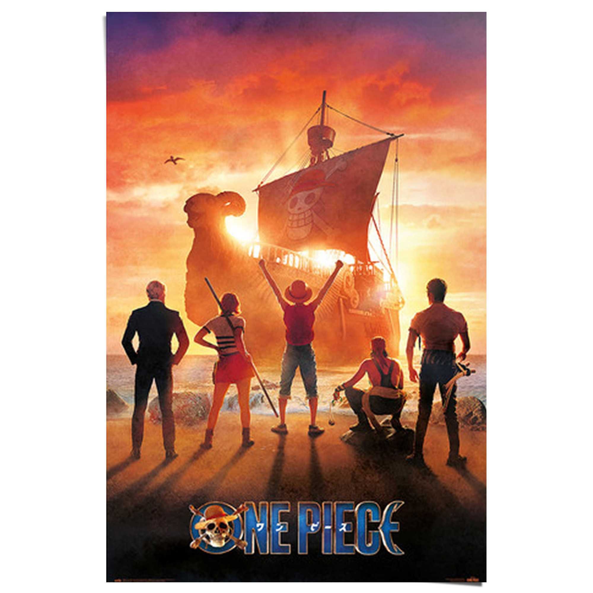 Reinders! Poster One Piece - straw hat pirates günstig online kaufen