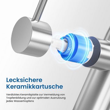 Auralum Küchenarmatur 360° Ausziehbar Spültischarmatur Edelstahl Mischbatterie Wasserhahn mit 2 Strahlarten