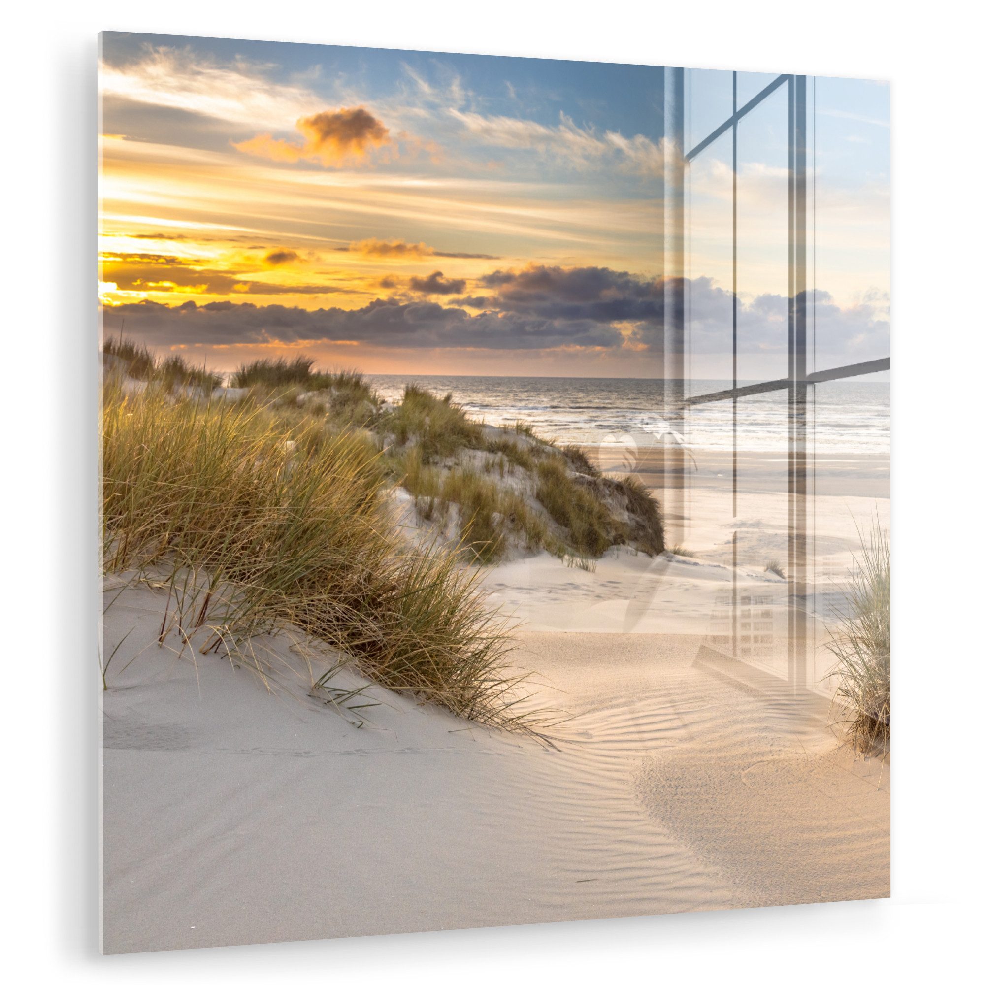 MuchoWow Acrylglasbild Strand - Düne - günstig online kaufen