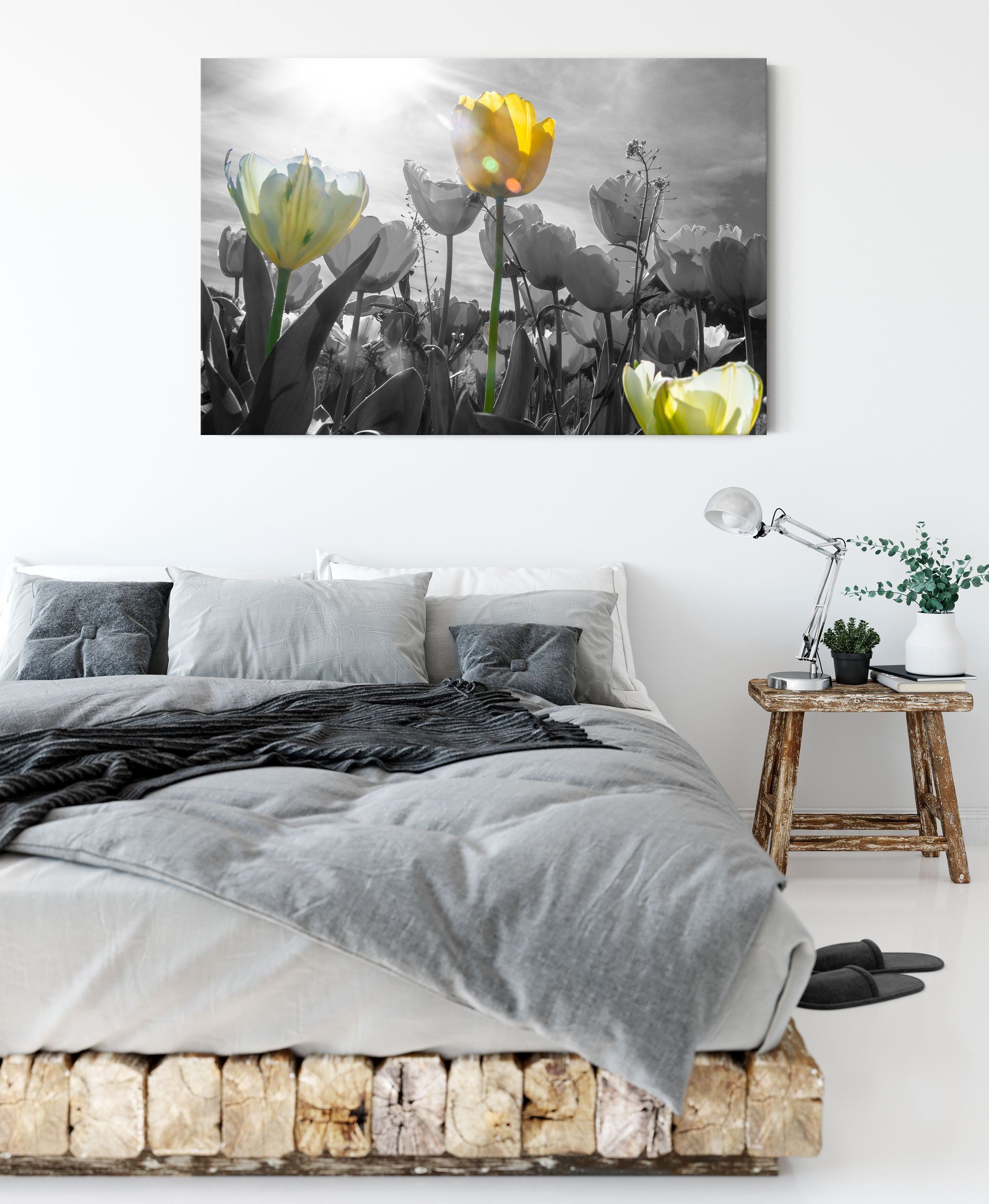 Pixxprint Leinwandbild wunderschöne Tulpenwiese, wunderschöne fertig bespannt, (1 St), inkl. Zackenaufhänger Tulpenwiese Leinwandbild