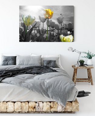 Pixxprint Leinwandbild wunderschöne Tulpenwiese, wunderschöne Tulpenwiese (1 St), Leinwandbild fertig bespannt, inkl. Zackenaufhänger
