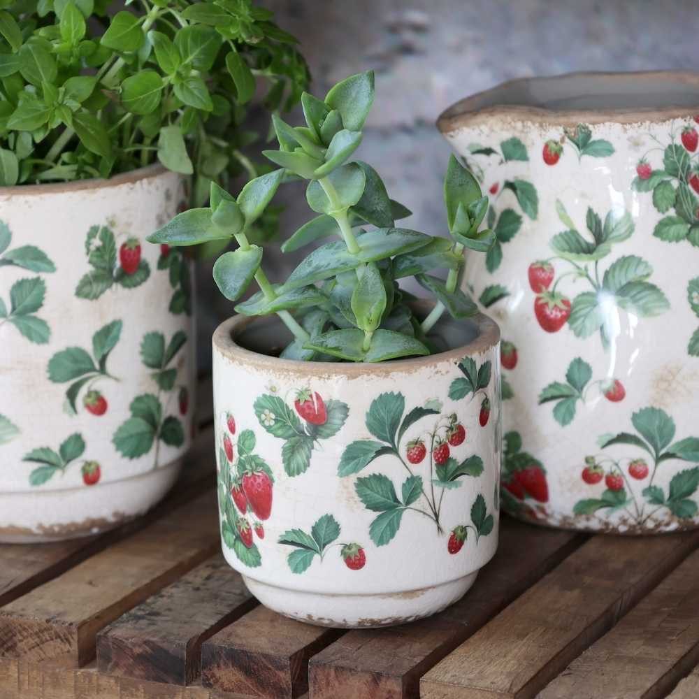 Chic Antique Blumentopf Chic Antique Blumentopf FRAISES Übertopf mit Erdbeeren 10x10 cm