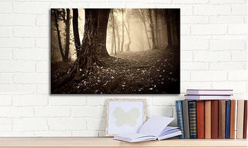 WandbilderXXL Leinwandbild Enchanted Forest, Wald (1 St), Wandbild,in 6 Größen erhältlich