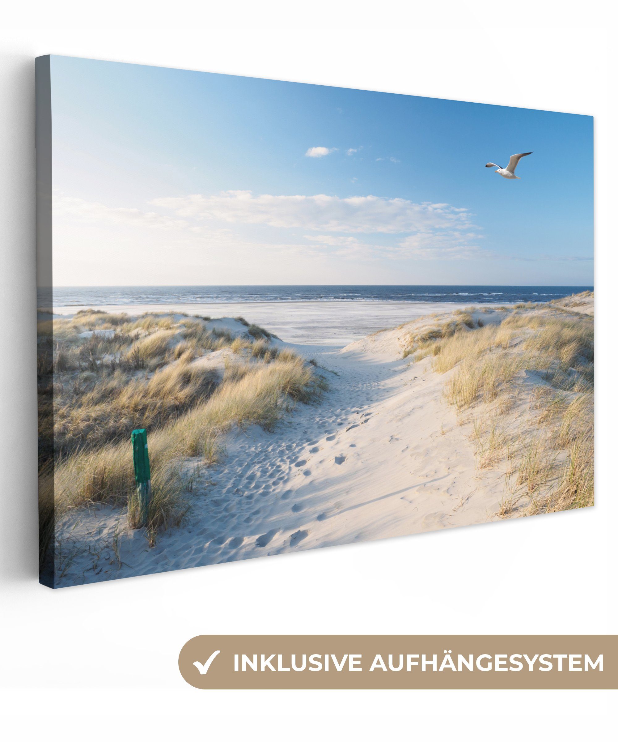 OneMillionCanvasses® Leinwandbild Düne - Möwe - Strand - Meer - Sonne, Foto günstig online kaufen