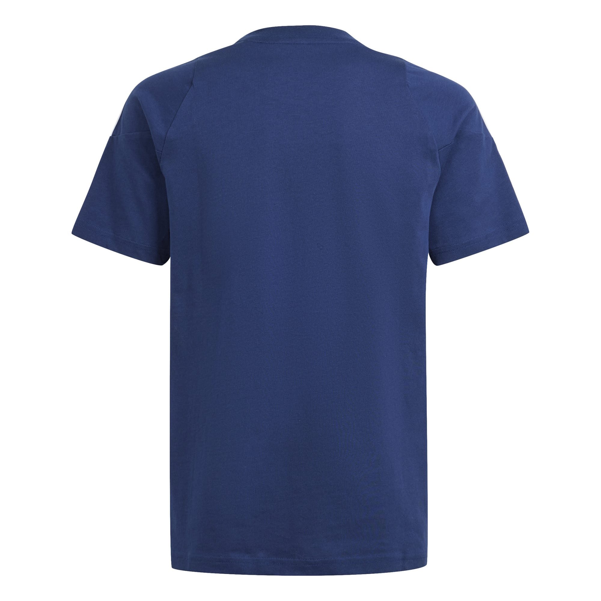 adidas Performance T-Shirt adidas Kinder T-Shirt Tiro 24 Sweat Tee Y