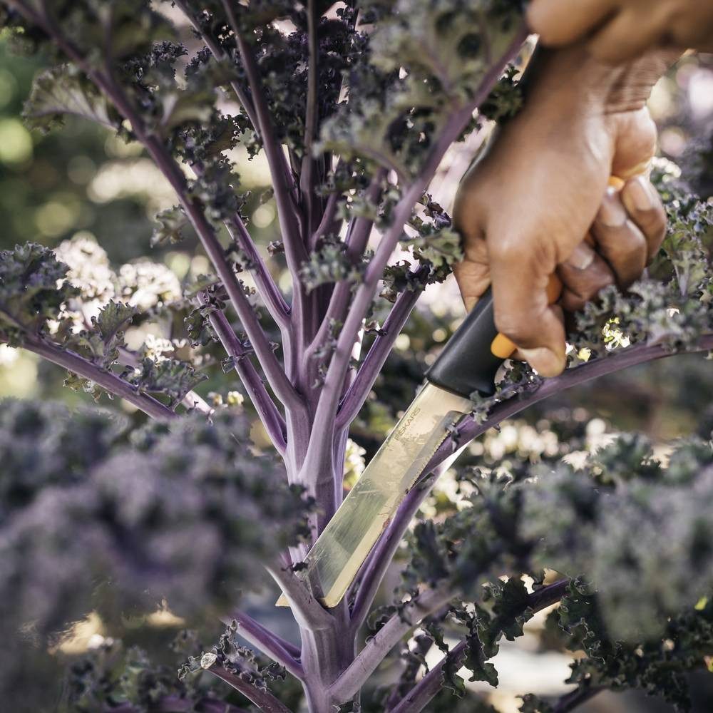 Fiskars Gartenpflege-Set 1062830 Gartenmesser