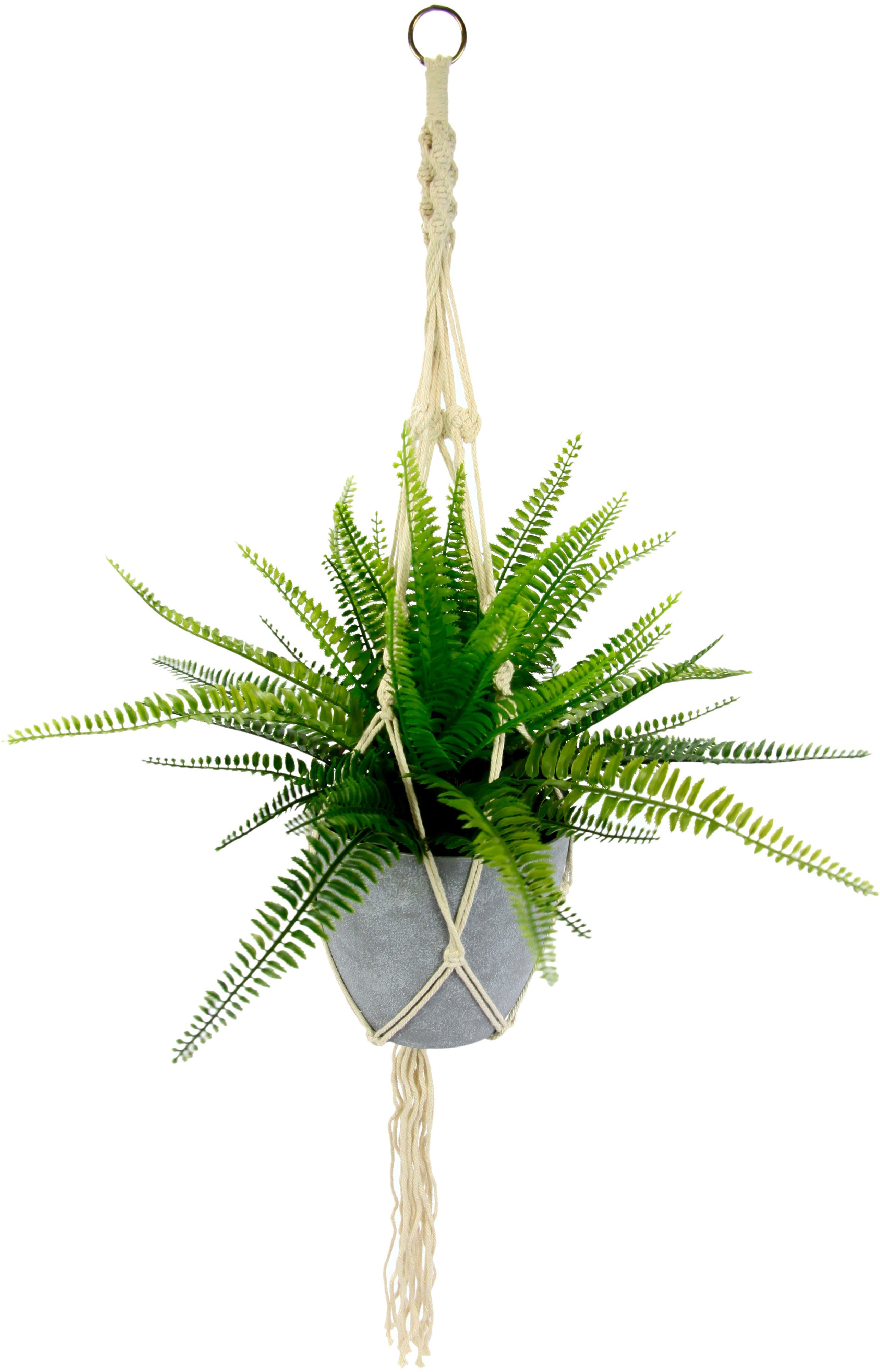 Künstliche Zimmerpflanze Farnbusch, I.GE.A., Höhe 38 cm, im Kunststofftopf,  mit Makramehängeampel