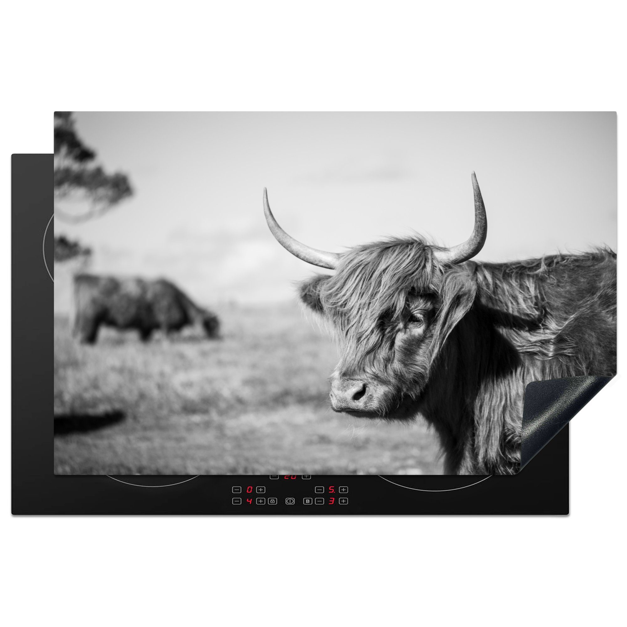 MuchoWow Herdblende-/Abdeckplatte Schottischer Highlander - Tiere - Schwarz - Weiß, Vinyl, (1 tlg), 81x52 cm, Induktionskochfeld Schutz für die küche, Ceranfeldabdeckung