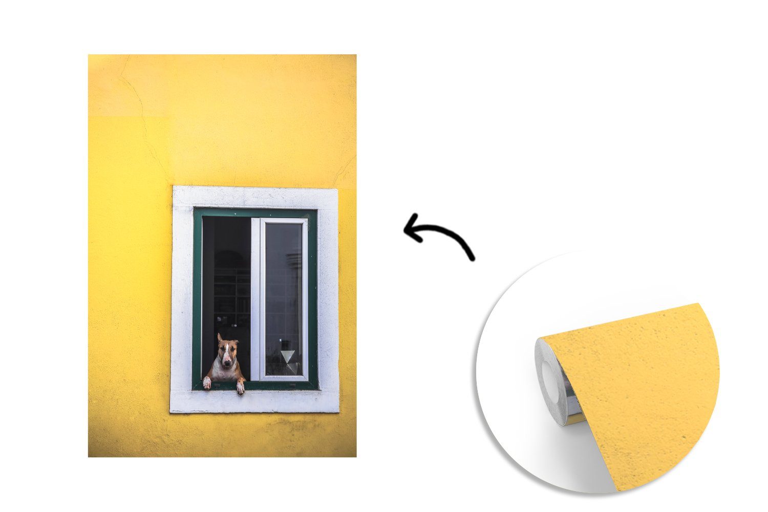 Tapete für aus (3 MuchoWow Montagefertig Vinyl Brauner dem Wandtapete St), Matt, bedruckt, Fototapete Fenster, Wohnzimmer, Hund