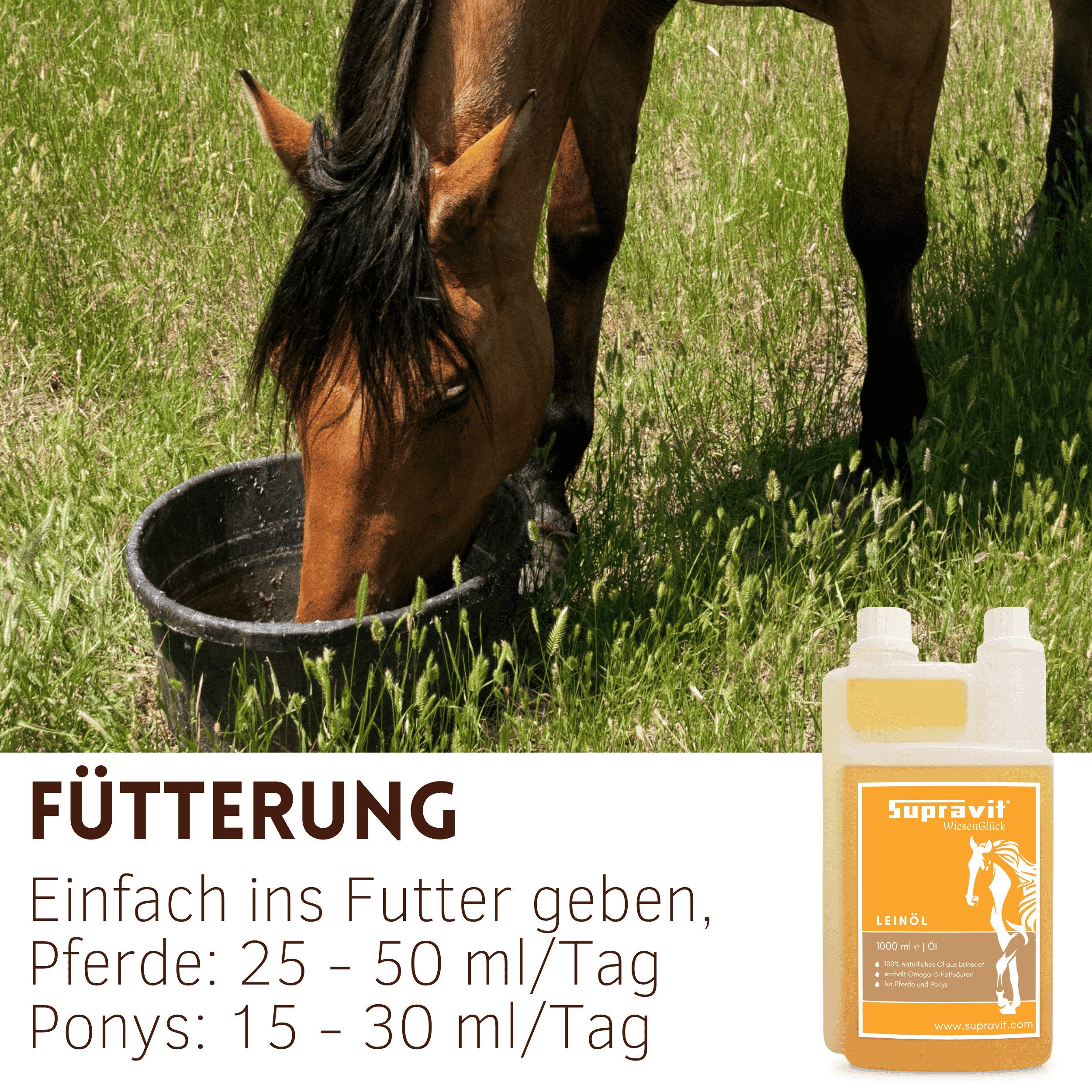 Supravit Ergänzungs Liquide für Pferde 1 Liter - 100% natürliche Unterstützung Leinöl, Nahrungsergänzungsmittel für: Pferd