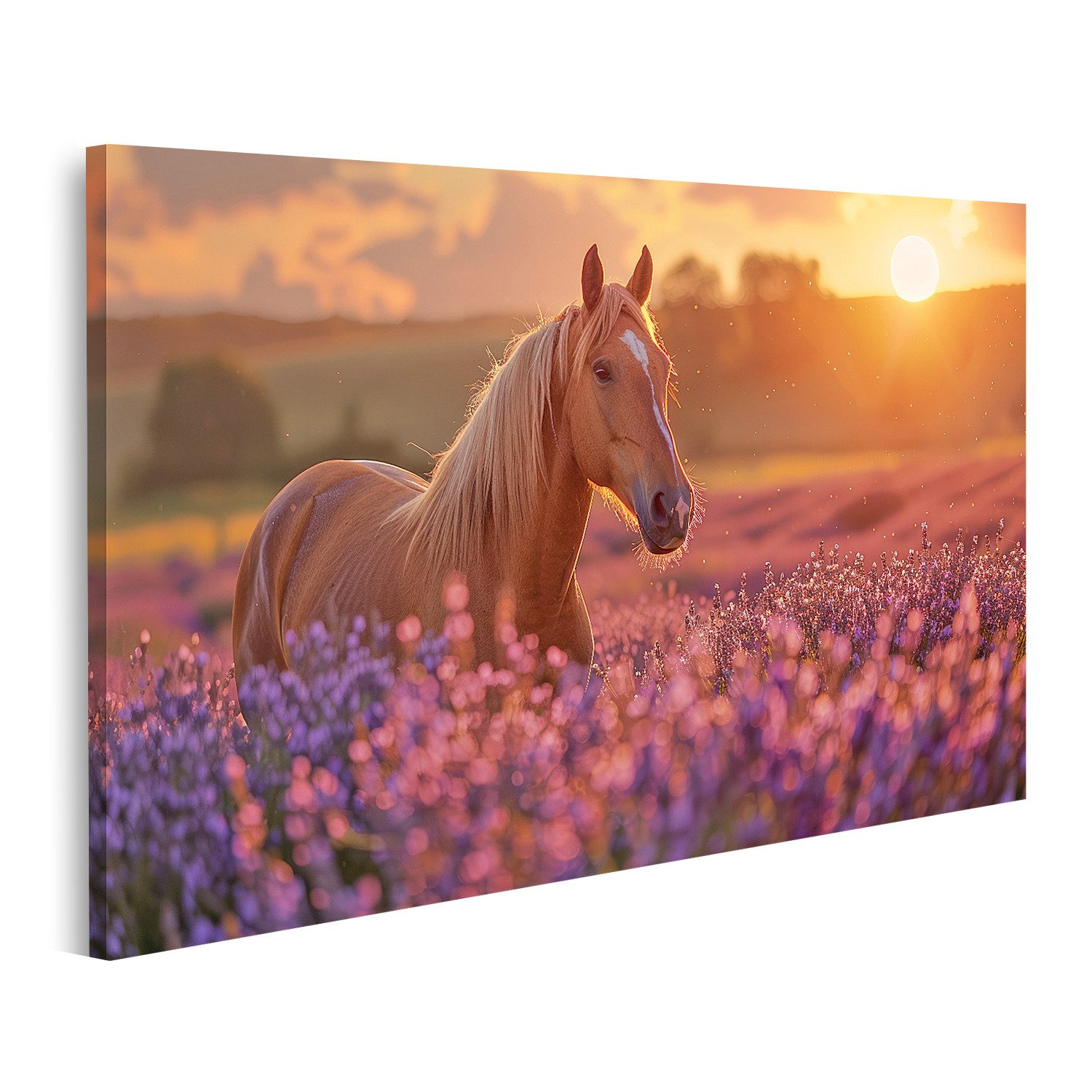 islandburner Leinwandbild Pferd Steht elegant in einem Lavendelfeld voller leuchtender Farben