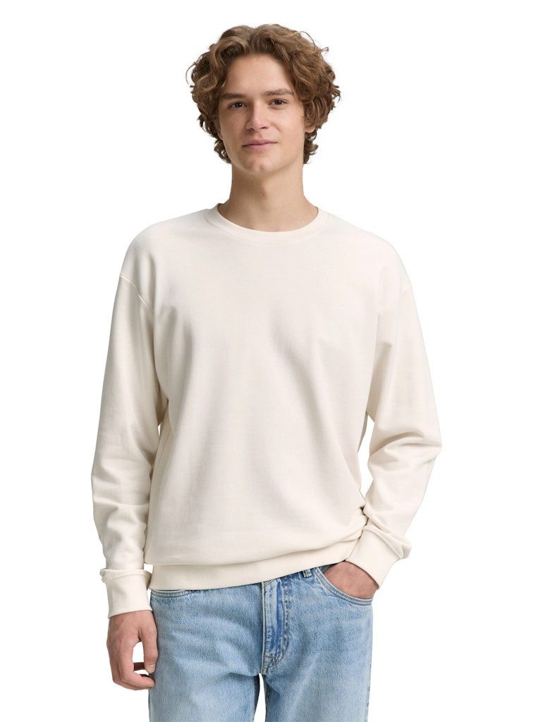 TOM TAILOR Rundhalspullover