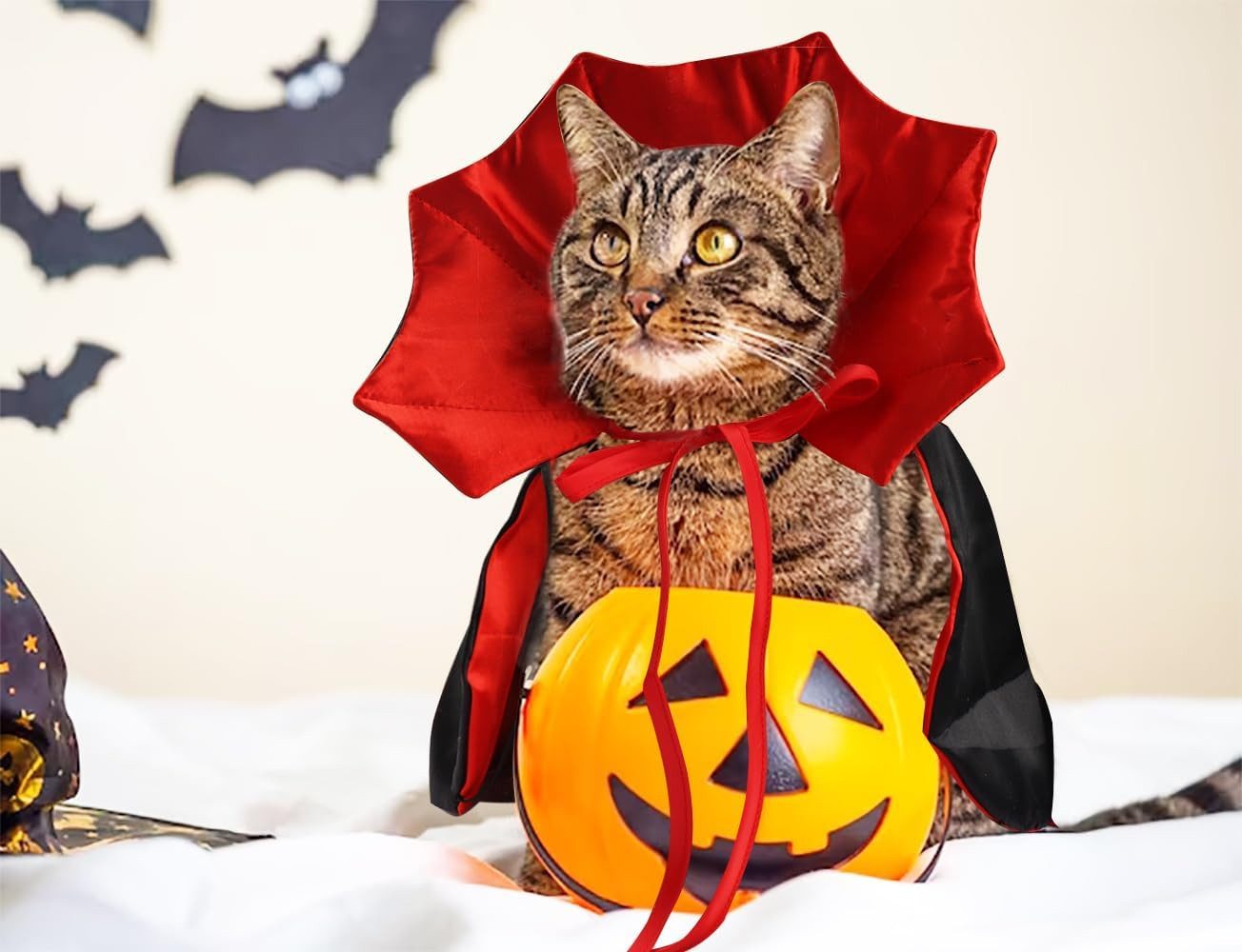 Coonoor Hundekostüm Katzenkostüm Halloween Haustierkostüme, Halloween-Kostüm für Hunde