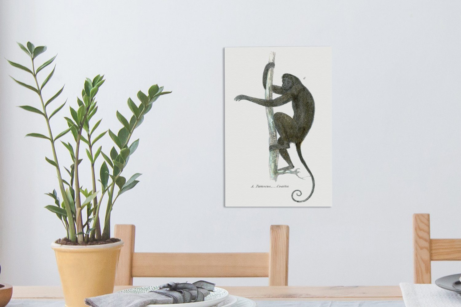 Leinwandbild einem (1 fertig cm Zackenaufhänger, OneMillionCanvasses® Bambusstab, Klammeraffen Illustration bespannt inkl. 20x30 St), Gemälde, auf eines Eine Leinwandbild