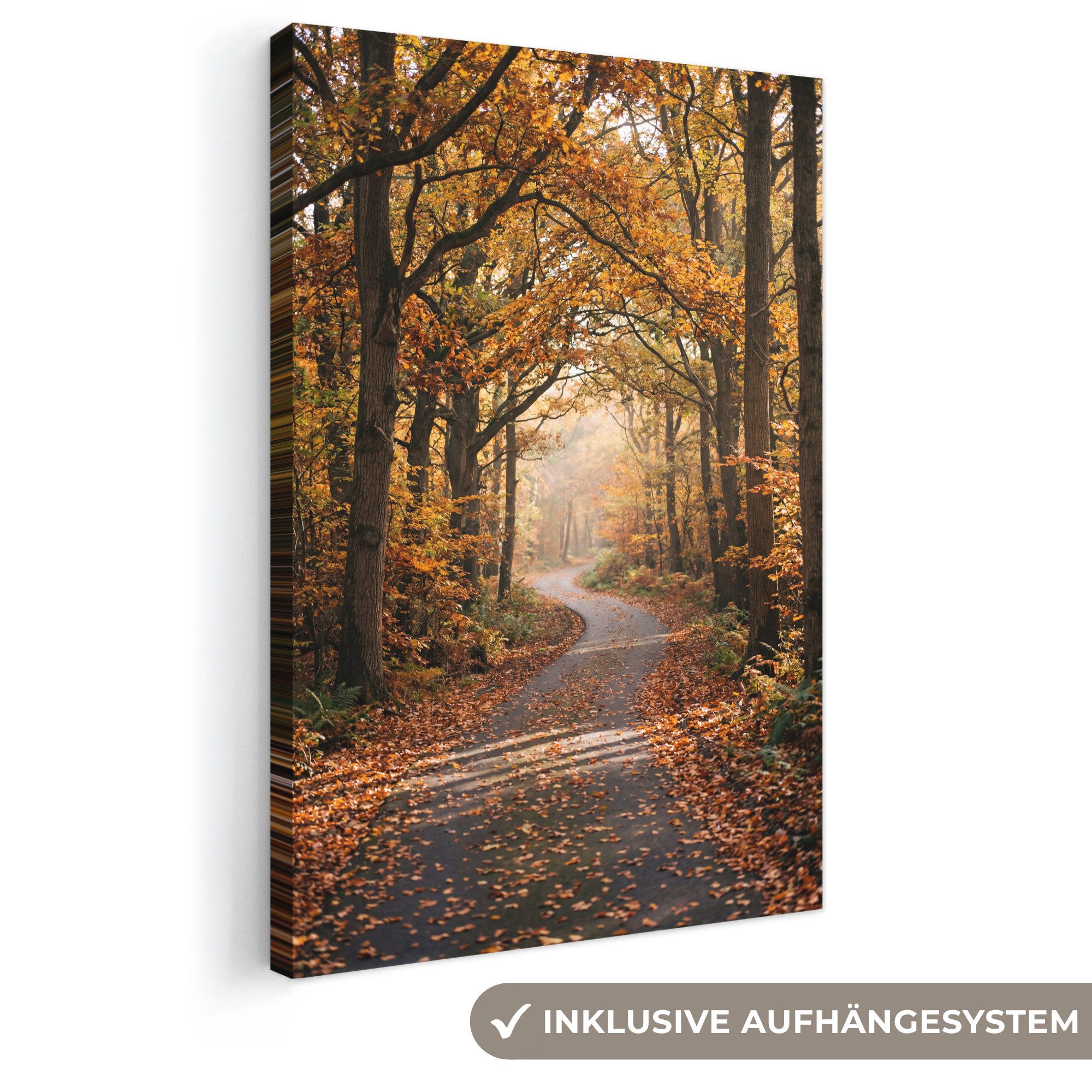 OneMillionCanvasses® Leinwandbild Waldweg - Herbstwald - Blätter - Orange - Nostalgisch, Fotodruck (1 St), Leinwand Canvas Wandbild, Wanddekoration 20x30 cm