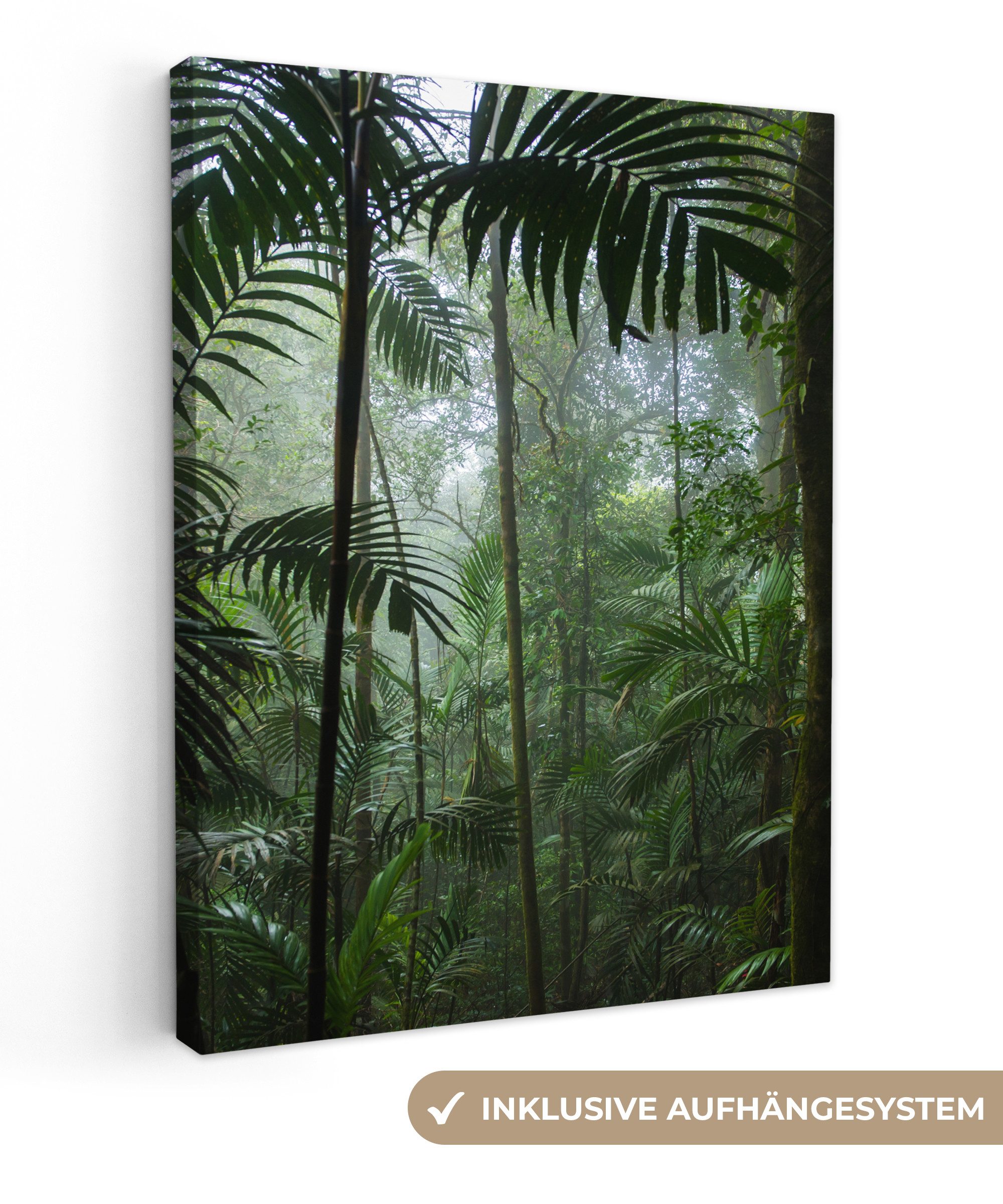 OneMillionCanvasses® Leinwandbild Regenwald - Tropisch - Dschungel - Bäume - Pflanzen, Grün (1 St), Leinwand Bilder für Wohnzimmer Schlafzimmer 30x40 cm