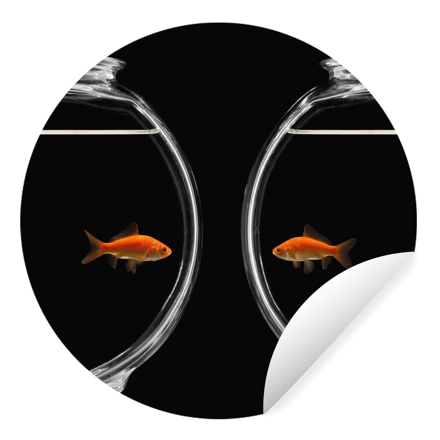 MuchoWow Wandsticker Goldfische durch Glas getrennt (1 St), Tapetenkreis für Kinderzimmer, Tapetenaufkleber, Rund, Wohnzimmer