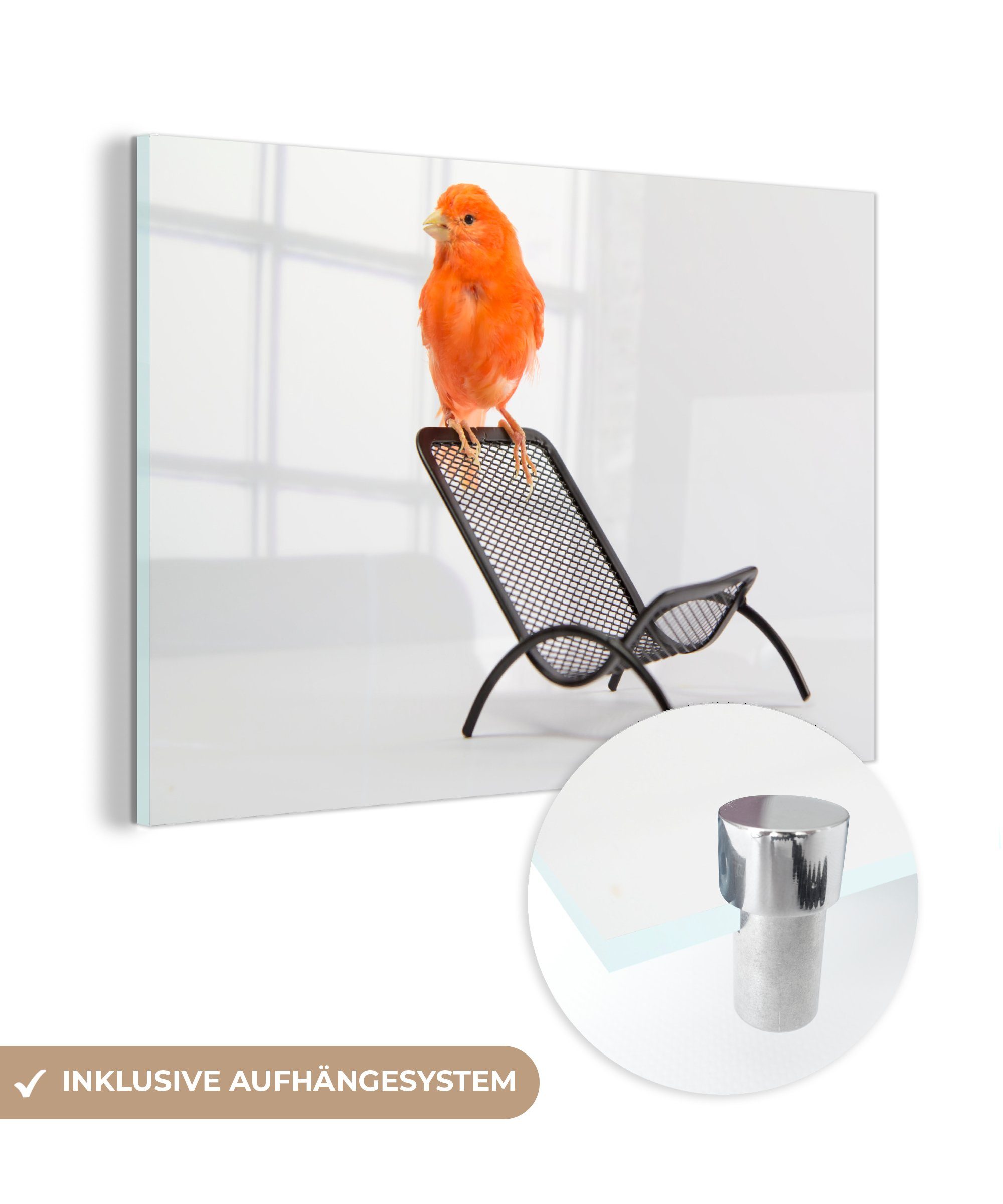 MuchoWow Acrylglasbild Roter Kanarienvogel auf einem Stuhl, (1 St), Acrylglasbilder Wohnzimmer & Schlafzimmer