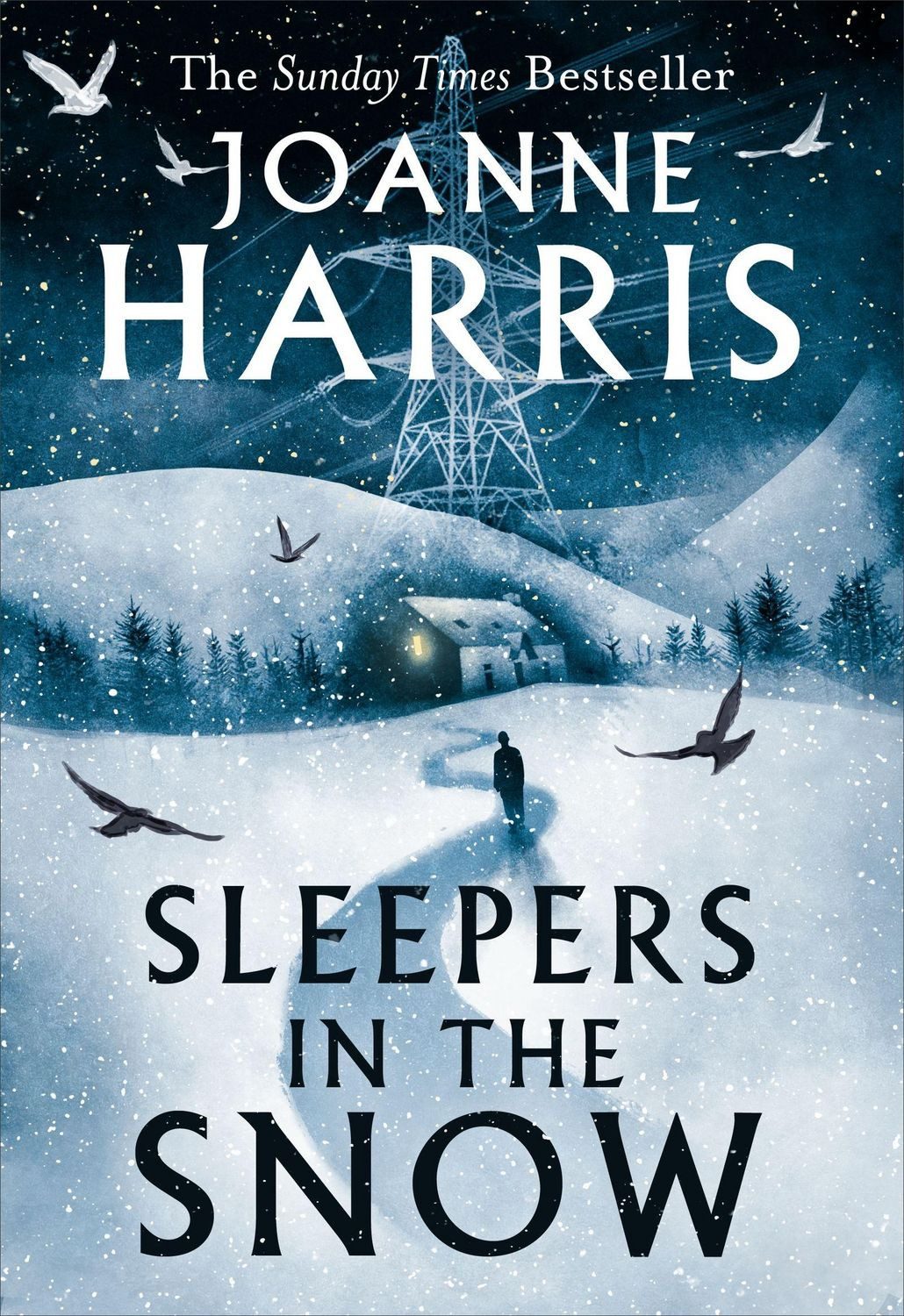 Sleepers in the Snow / Joanne Harris