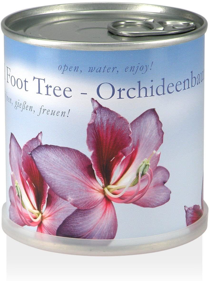MacFlowers® Anzuchttopf in Orchideenbaum Blüten. mit Tropisch - schön - Blumen rosa der Dose