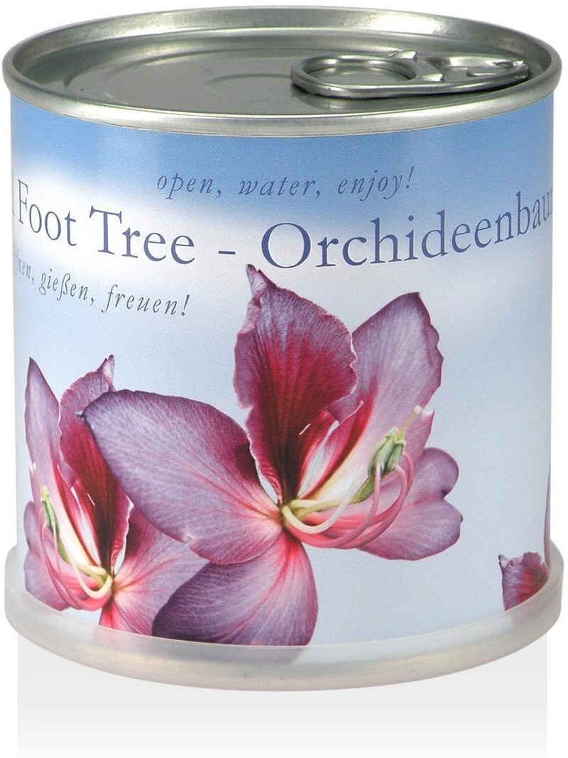 MacFlowers® Anzuchttopf Orchideenbaum - Blumen in der Dose - Tropisch schön mit rosa Blüten.