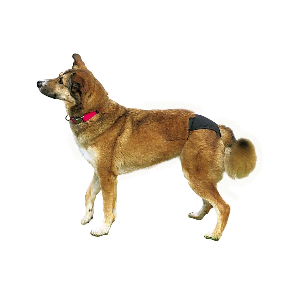 TRIXIE Hundewindel »Hunde-Schutzhöschen de Luxe, schwarz - XL«, für  Rottweiler, Deutsche Dogge, Berner Sennenhund, Neufundländer, Leonberger,  speziell für Hündinnen