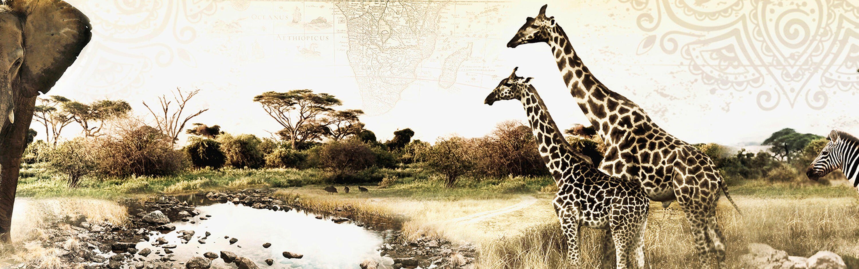 Größen Savanne, Zebra Hartschaum Premium Nischenrückwand Elefant Afrika in wandmotiv24 versch. Giraffe (1-tlg), Küchenrückwand