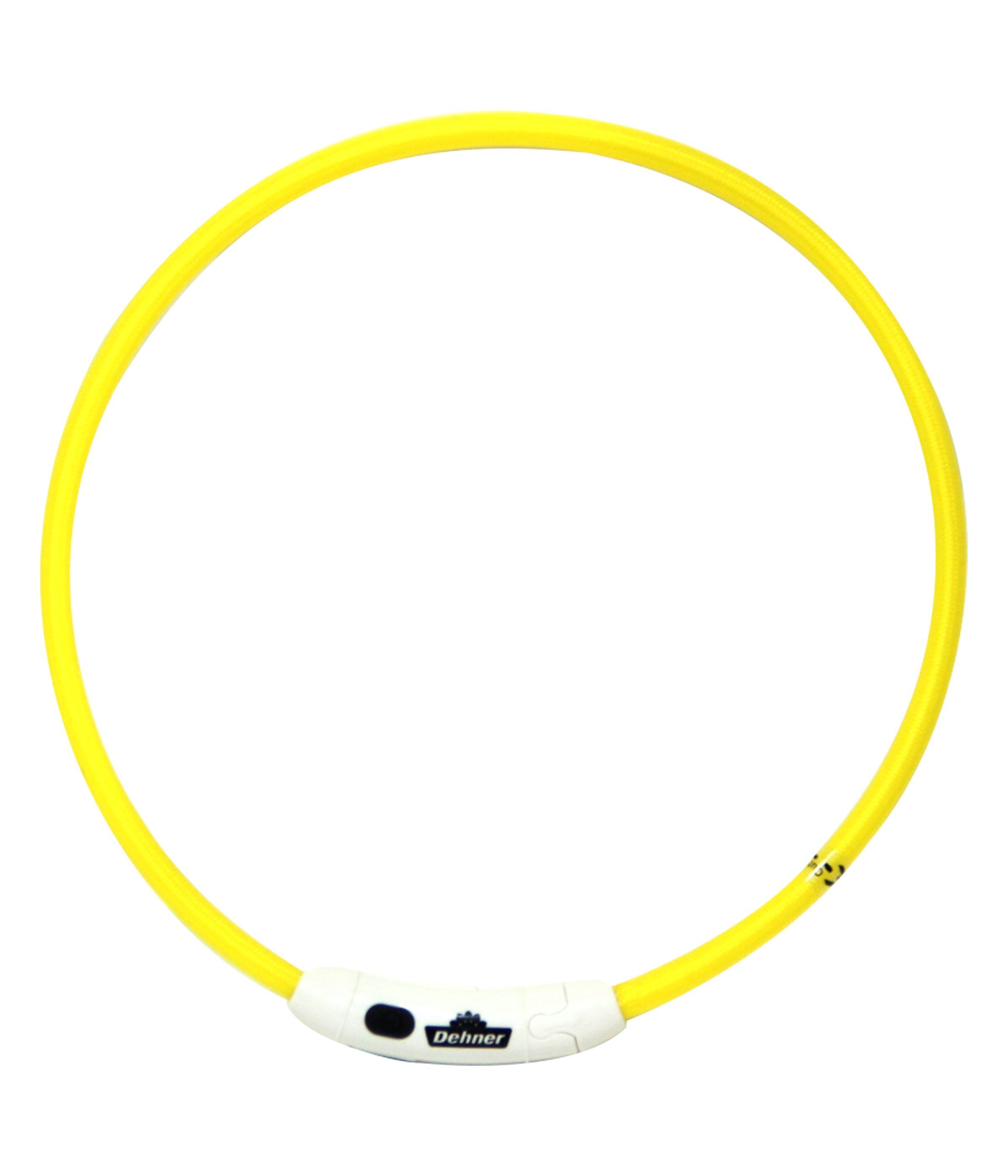 Dehner Hunde-Halsband LED Hunde-Leuchthalsband, verstellbar, Polyester, Kunststoff