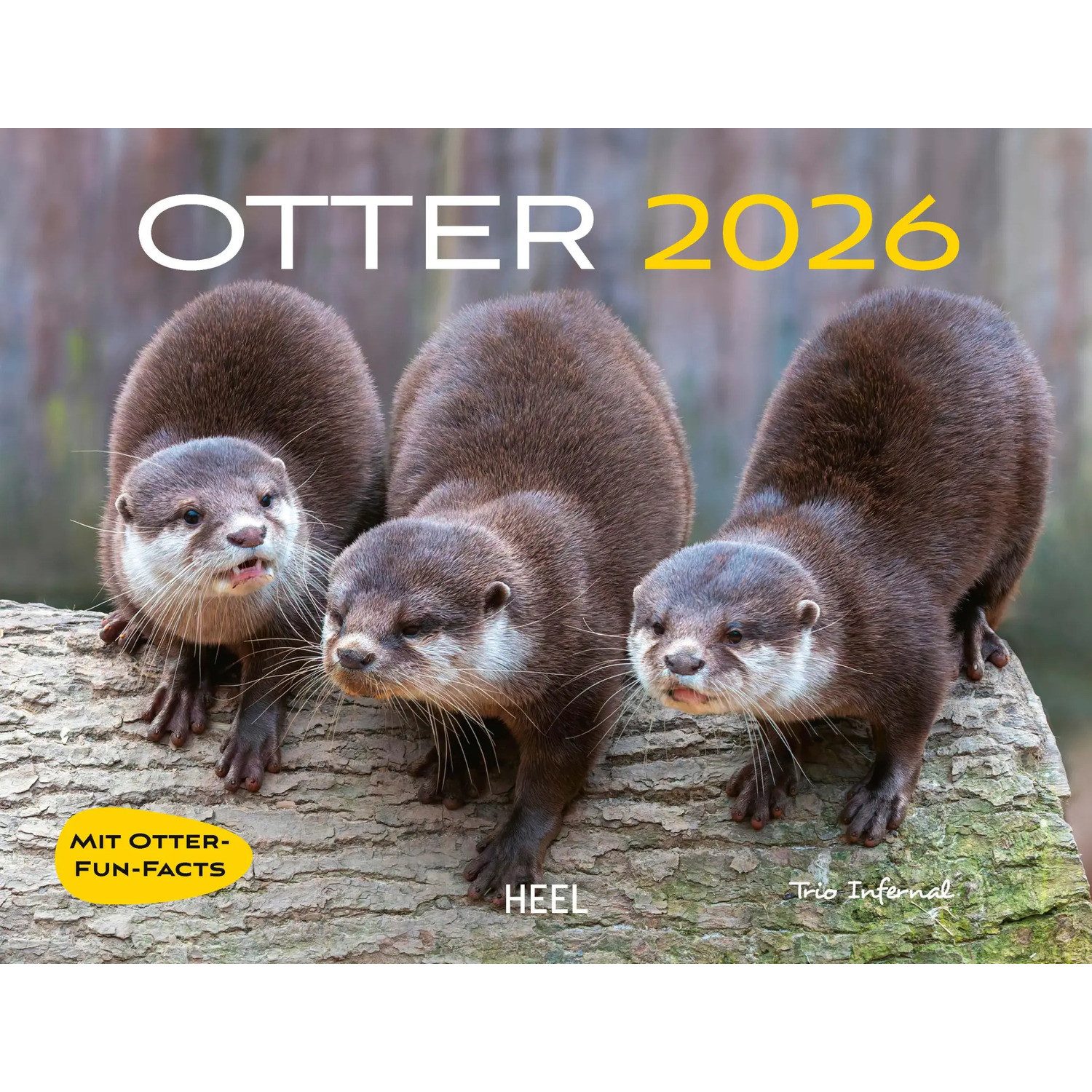 HEEL Verlag Wandkalender Otter Kalender 2026 Wandkalender Eintragkalender