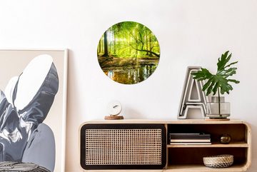 MuchoWow Gemälde Wald - Landschaft - Wasser - Bäume - Sonne - Grün - Natur, (1 St), Kreis Wanddekoration Forex, Rundes Wandbild, Wohnzimmer, 30x30 cm