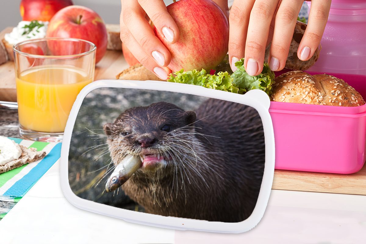 MuchoWow Lunchbox Otter frisst (2-tlg), Mädchen, Erwachsene, Brotbox Brotdose Kunststoff rosa Kinder, Snackbox, Kunststoff, Fisch, für