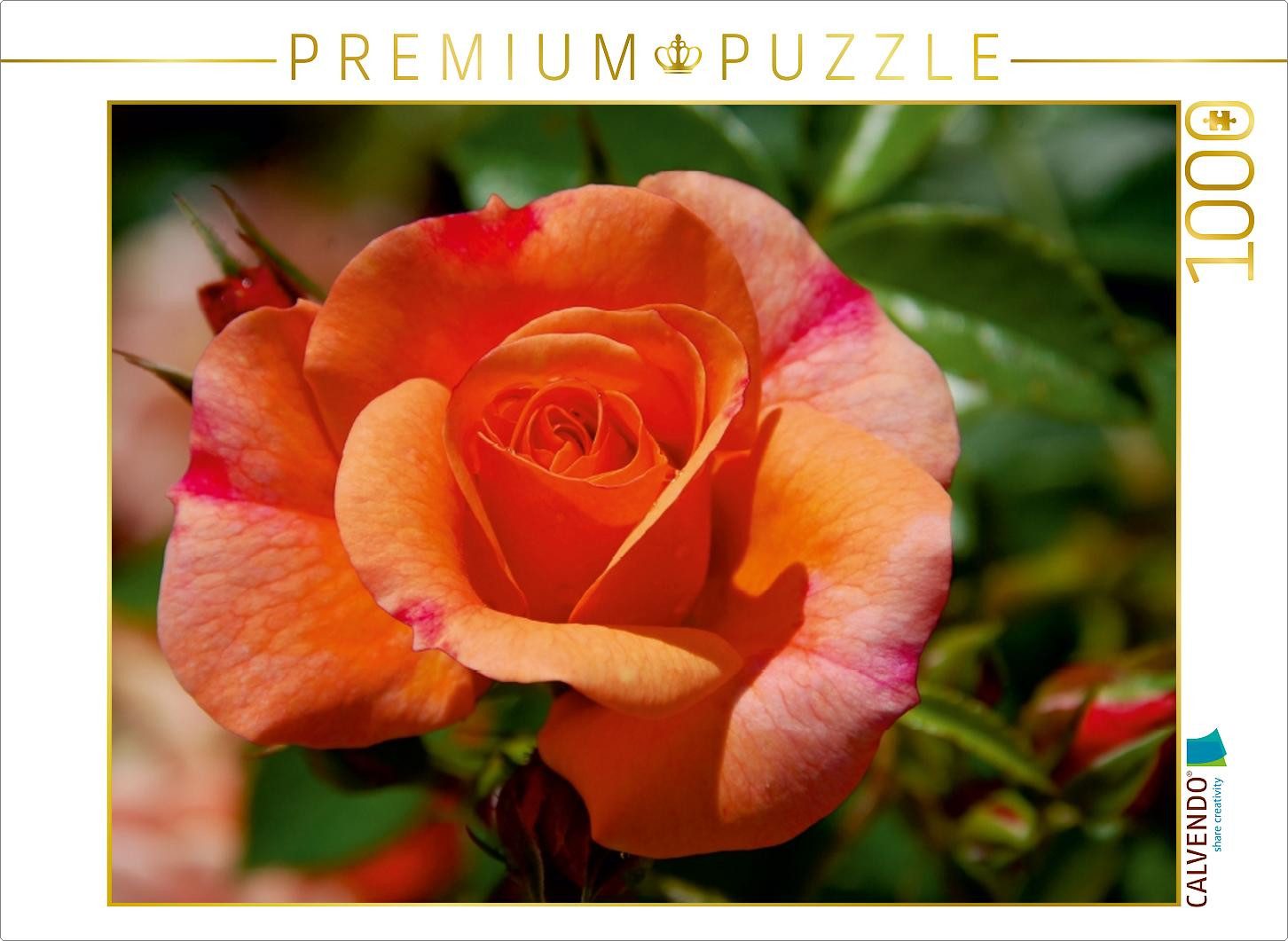 Puzzle CALVENDO Puzzle Ein Motiv aus dem Kalender ROSENTRÄUME, 1000 Teile Le