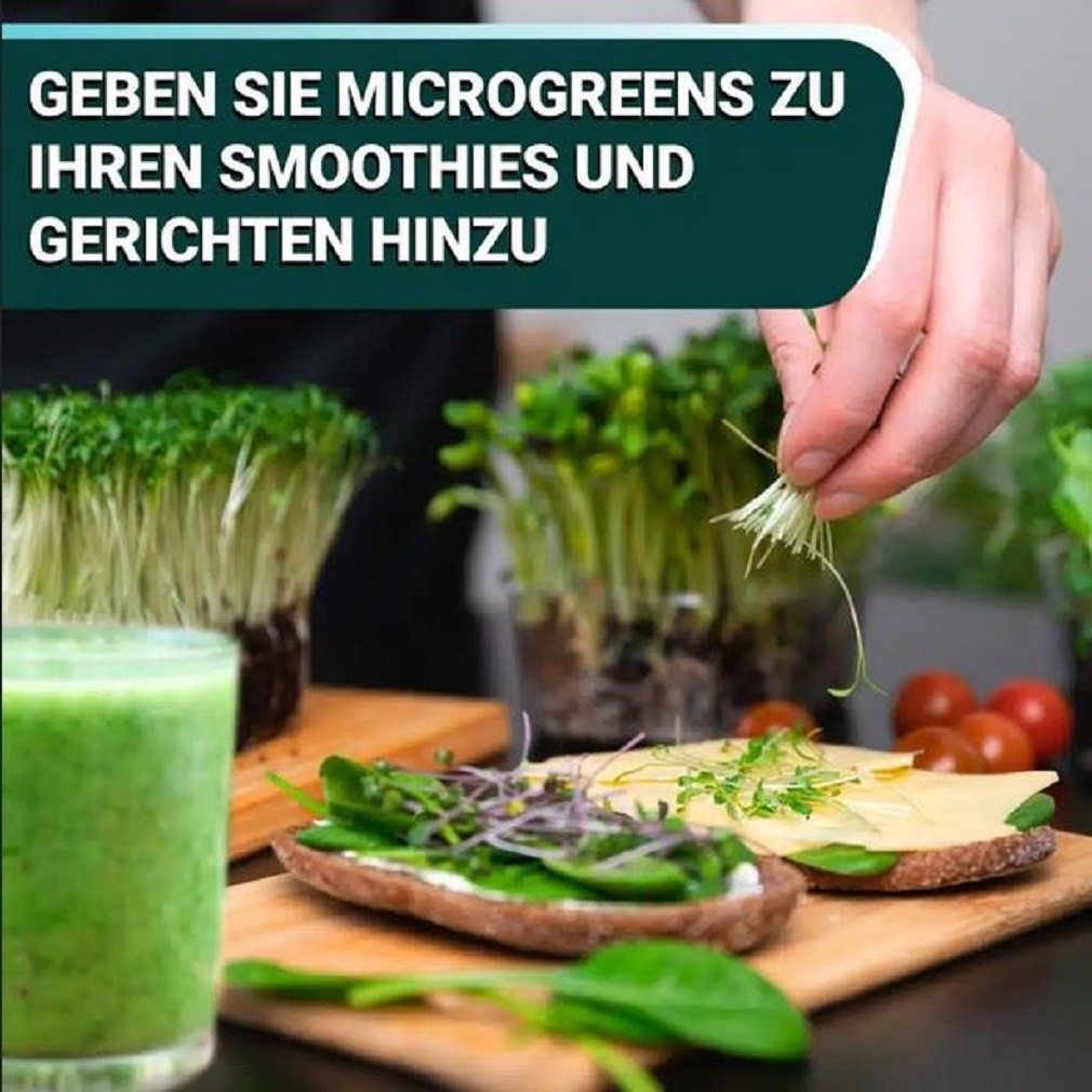 Kräutertopf Soil OraGarden (6 div. Superfood Kräuter-Saatpads MicroGreens Stück) Sorten -