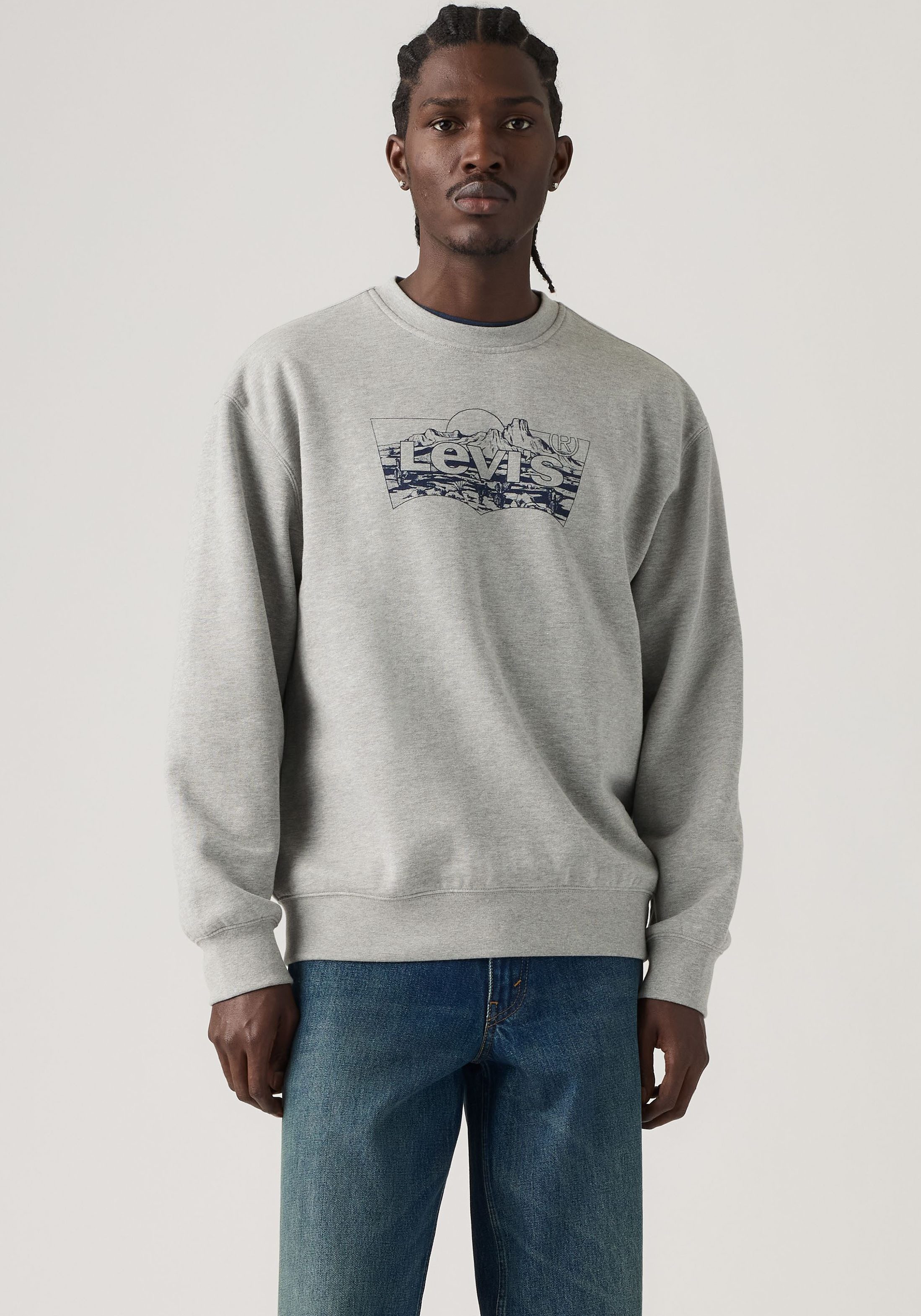 Levi's® Sweatshirt RELAXD GRAPHIC CREW NEUTRALS