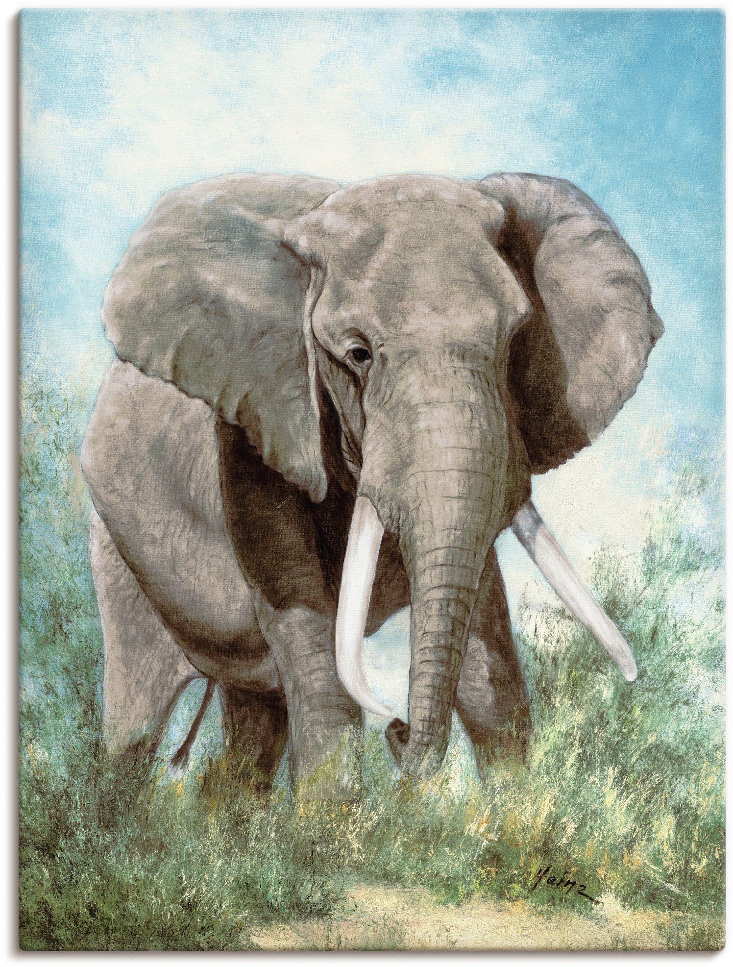 Elefant, Größen versch. Wildtiere Poster Leinwandbild, Artland oder Wandbild als (1 Alubild, Wandaufkleber St), in