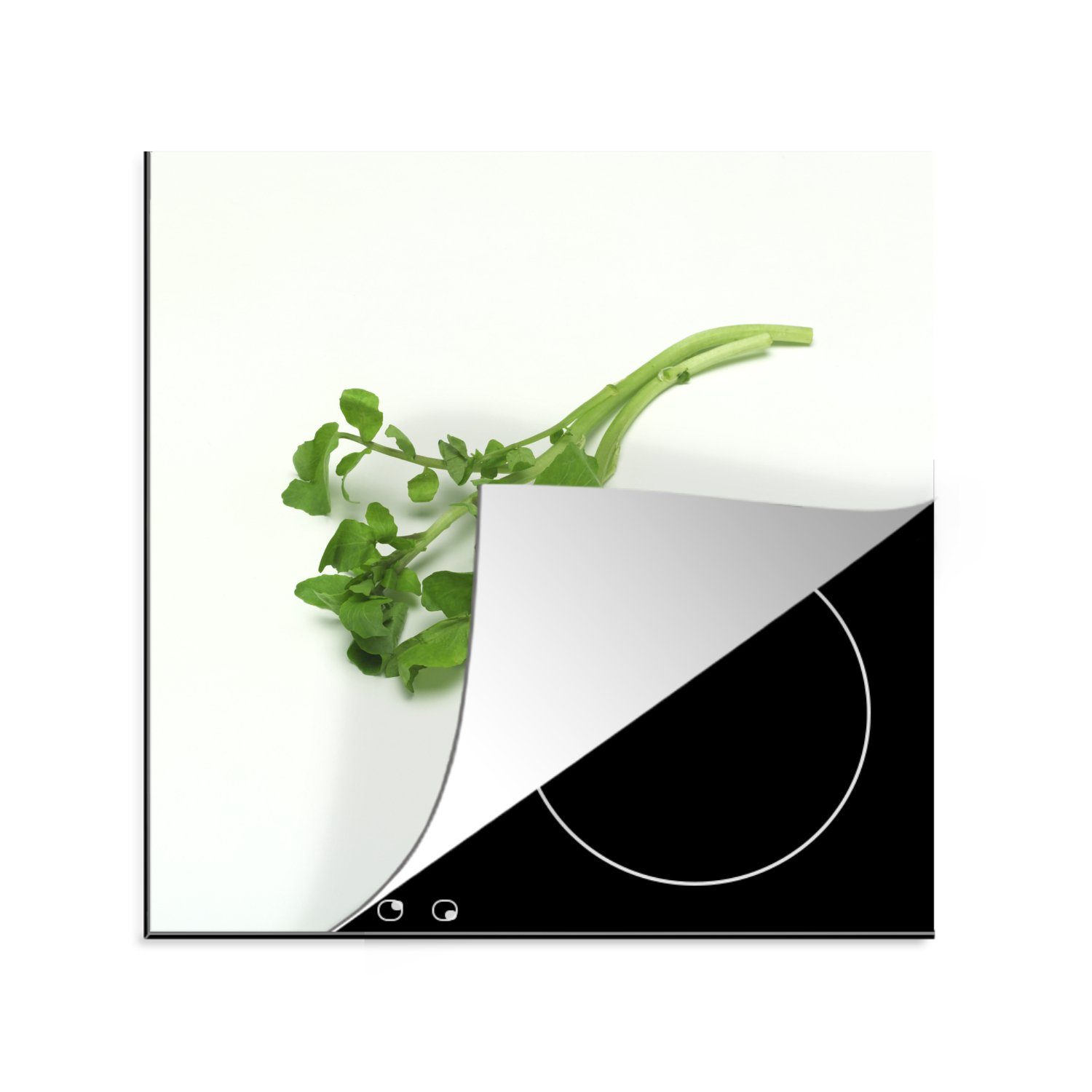 für Hintergrund, Kresse Grüne hellem Arbeitsplatte küche tlg), Herdblende-/Abdeckplatte 78x78 (1 cm, vor Vinyl, MuchoWow Ceranfeldabdeckung,