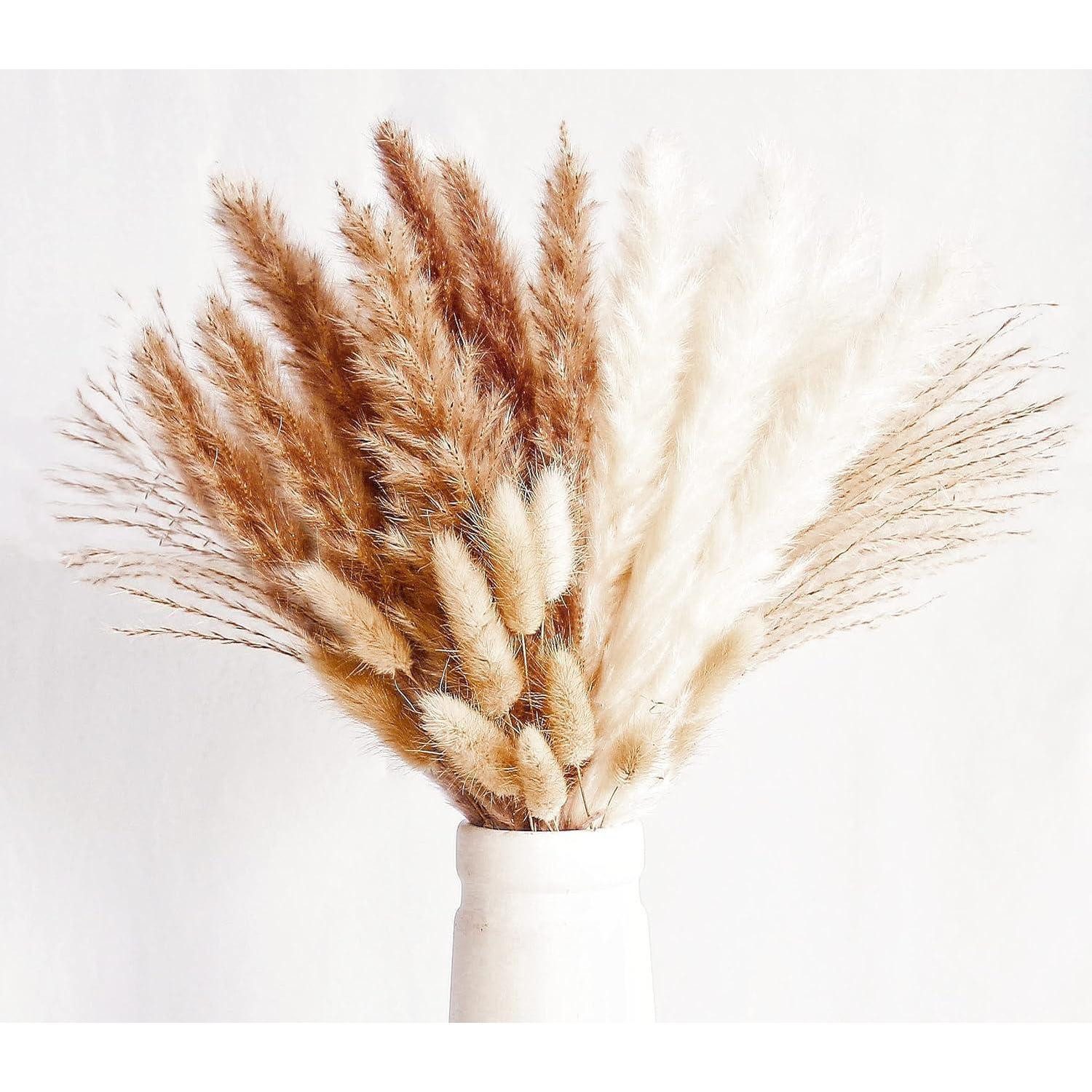 Trockenblume 70 Stück Pampas Grass Deko Natürliche Blumensträuße für Wohnzimmer, LuxusKollektion, Höhe 1 cm
