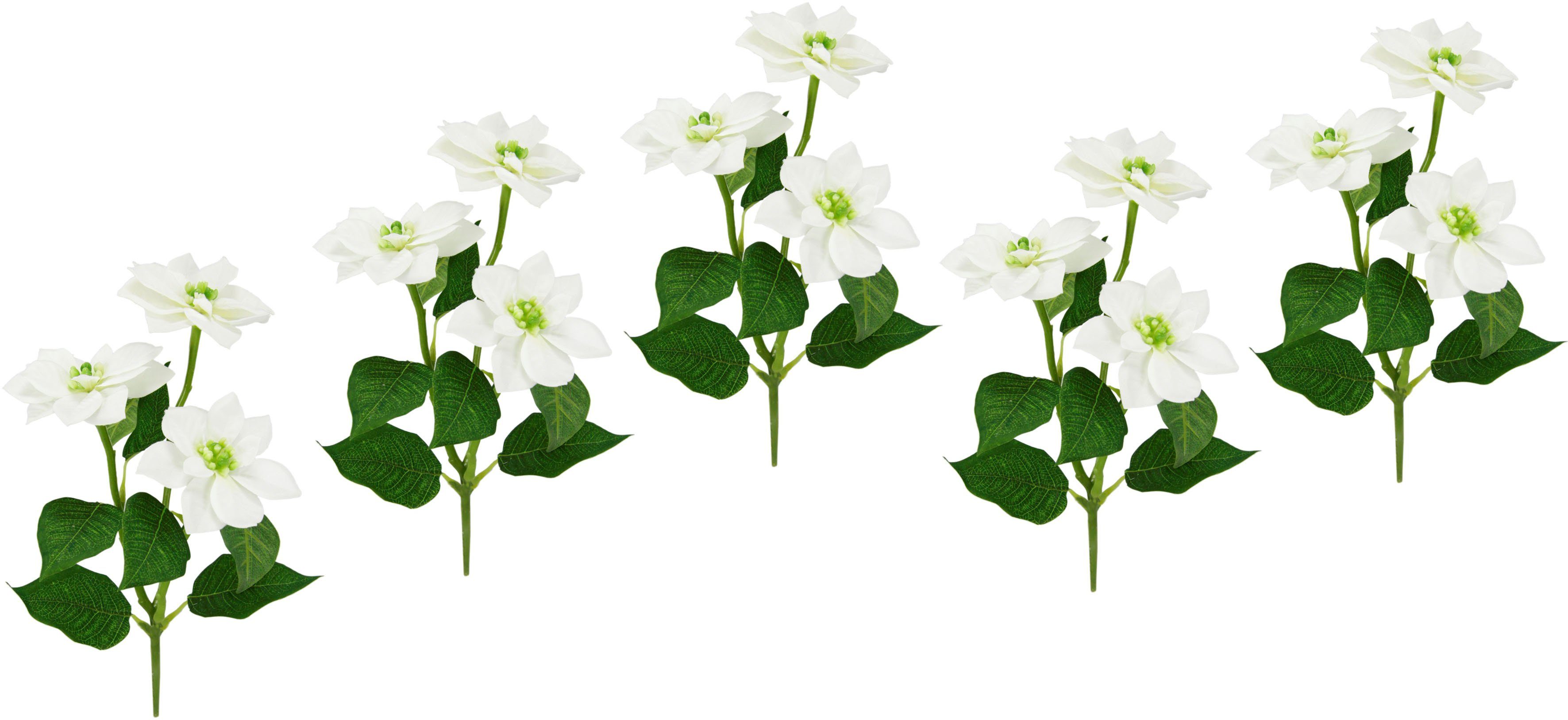 Kunstblume Poinsettie, I.GE.A., Höhe 28 cm, Künstlicher Poinsettiazweig, 5e günstig online kaufen