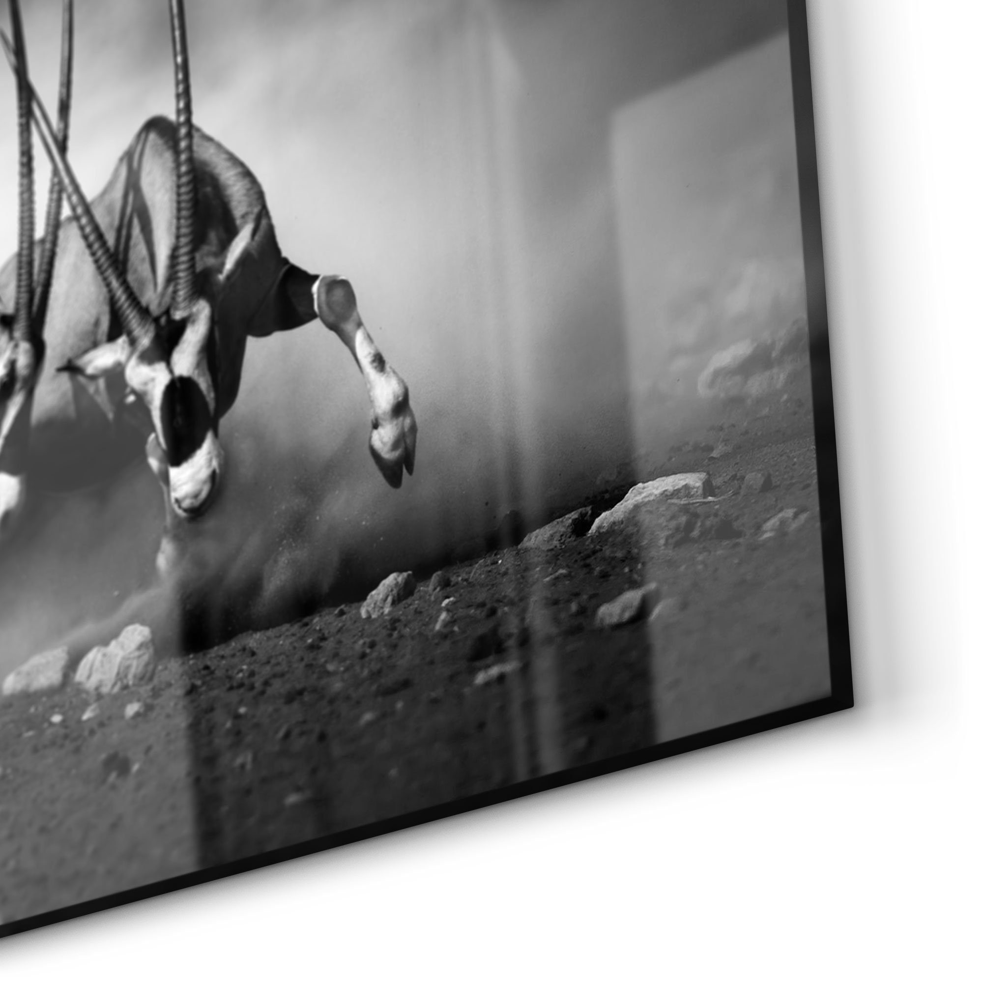Glas DEQORI Küchenrückwand Spritzschutz Herdblende Oryxantilopen', 'Aggressive Badrückwand