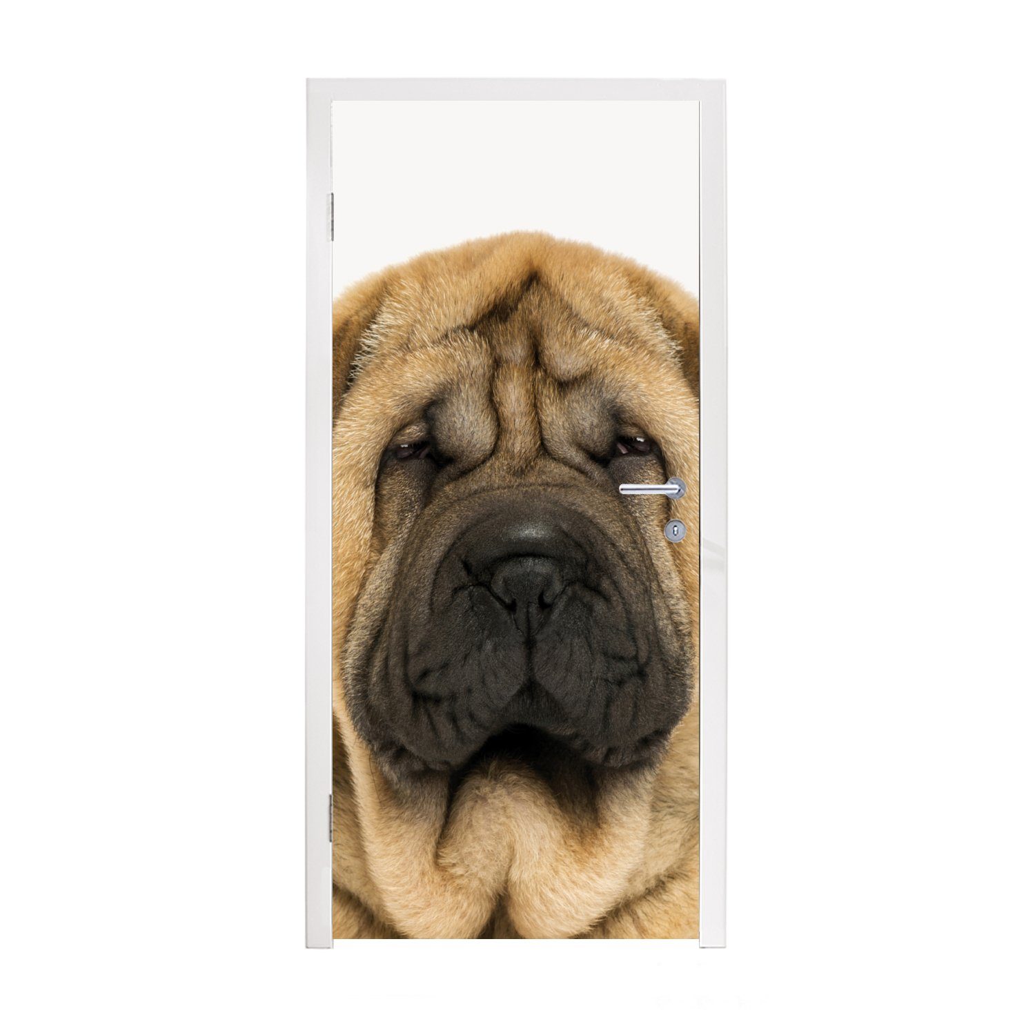 MuchoWow Türtapete Hund - Jungen - Sharpei - Haustiere - Mädchen - Kinder, Matt, bedruckt, (1 St), Fototapete für Tür, Türaufkleber, 75x205 cm