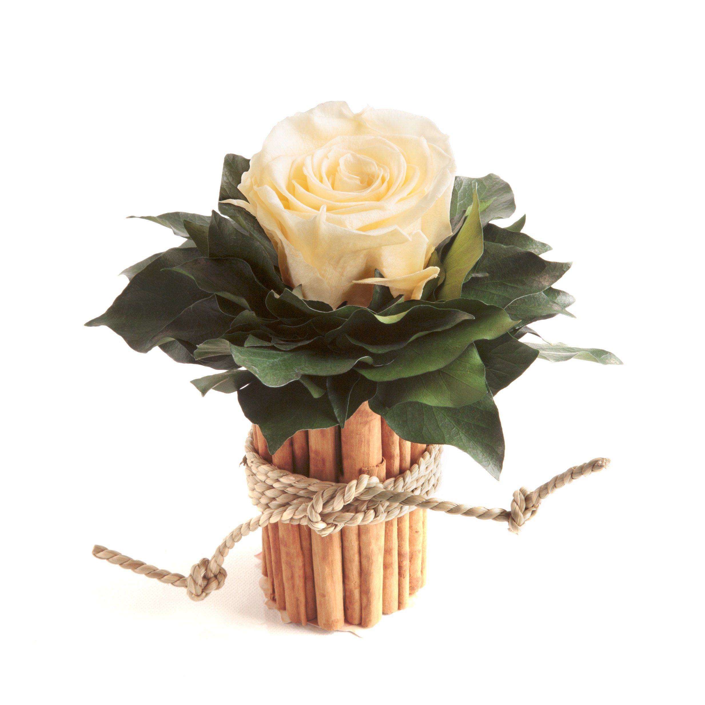 Kunstblumenstrauß Blumenstrauß Zimtbecher Infinity Rosen Kunstpflanze, günstig online kaufen