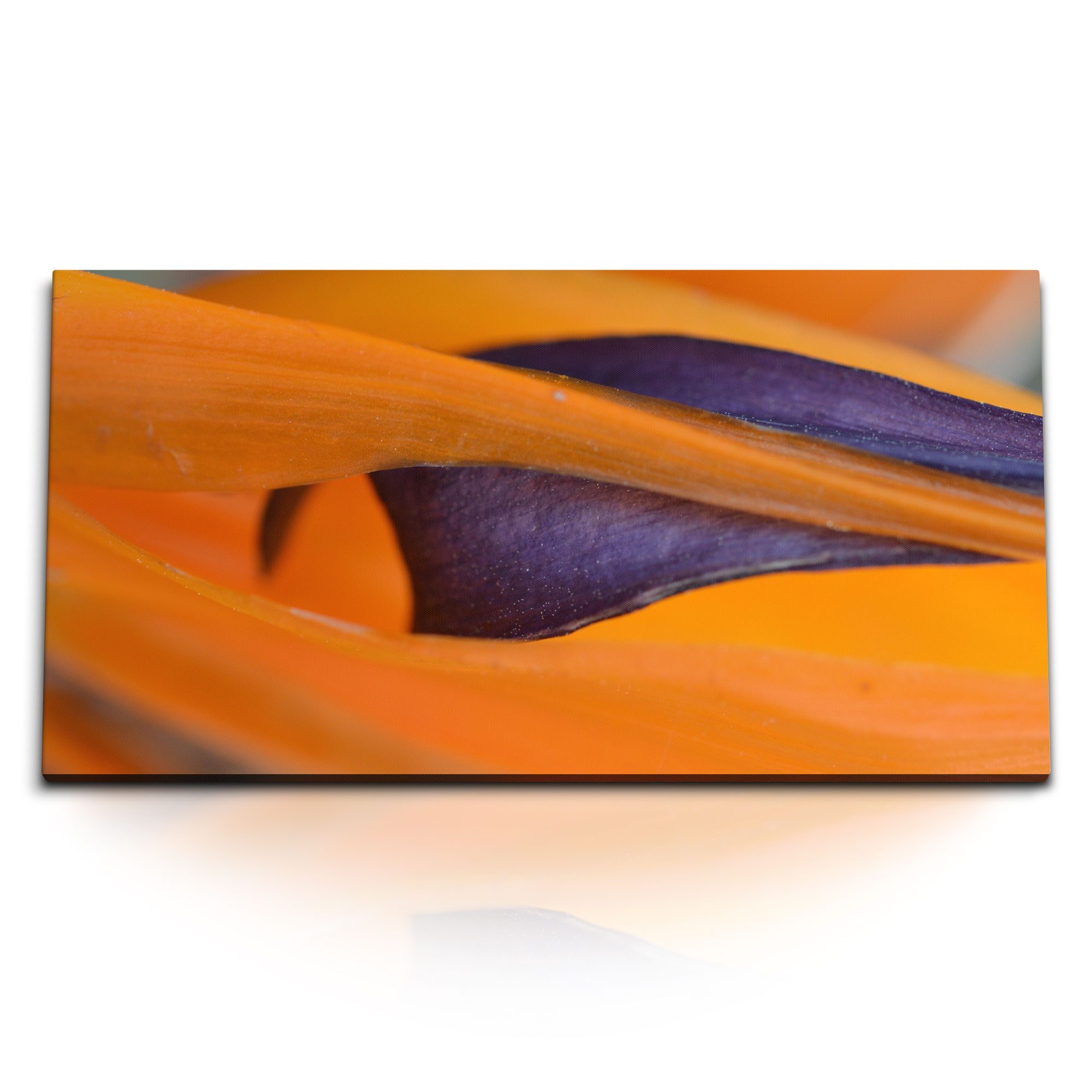 Leinwandbild Kunstdruck Bilder 120x60cm Exotische Blume Nahaufnahme Orange Dekorati
