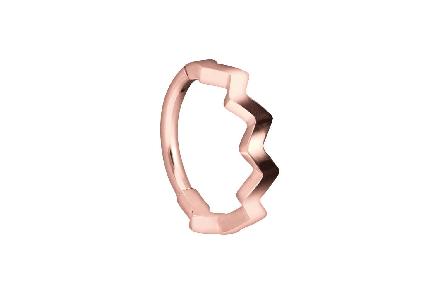 Nasenpiercing Titan Segmentring Clicker GEZACKTES DESIGN Ohrpiercing Septum Nase