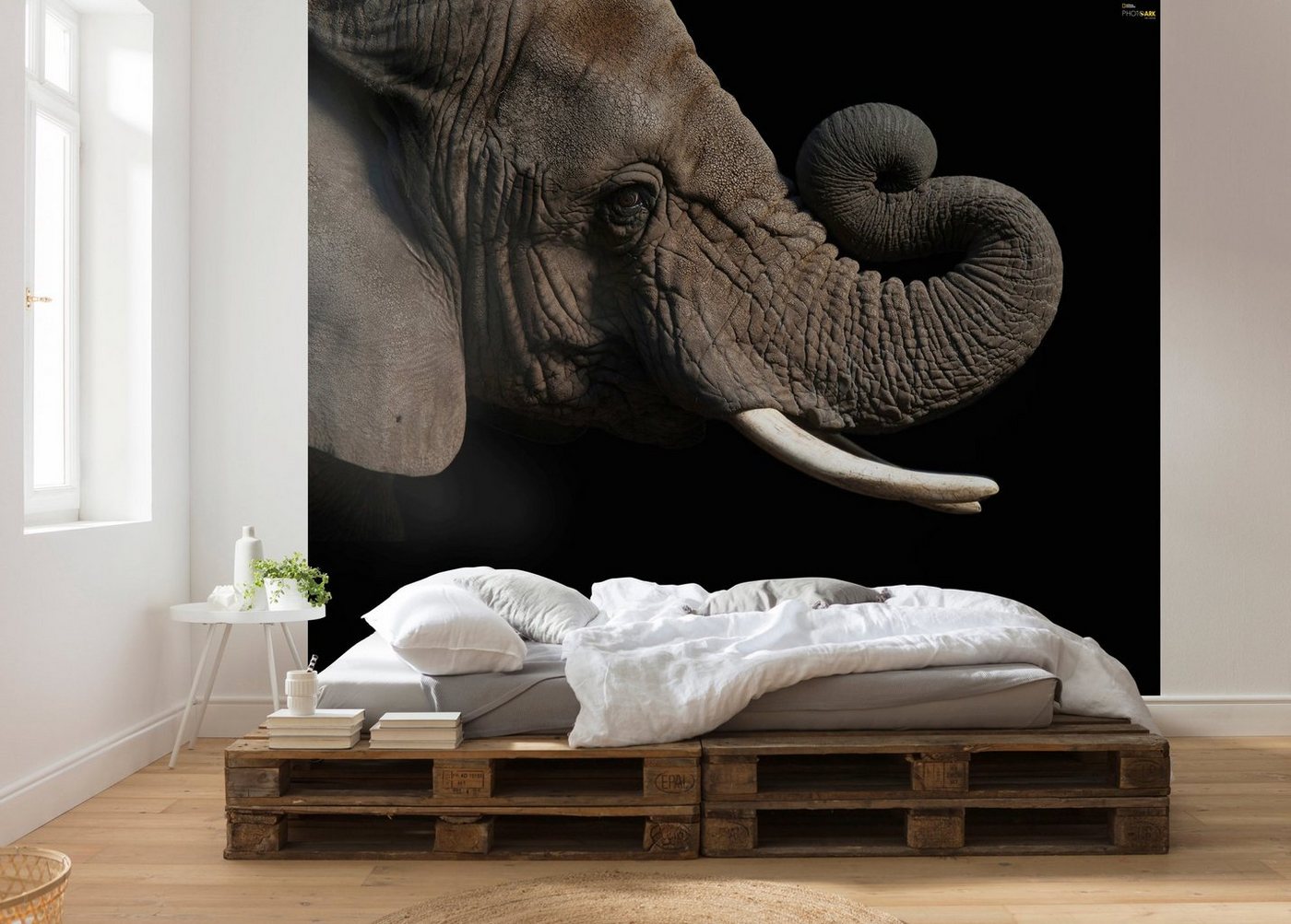 Komar Vliestapete »African Elephant«, glatt, bedruckt, realistisch, (6 St), 300 x 280 cm (Breite x Höhe) - 6 Bahnen-HomeTrends