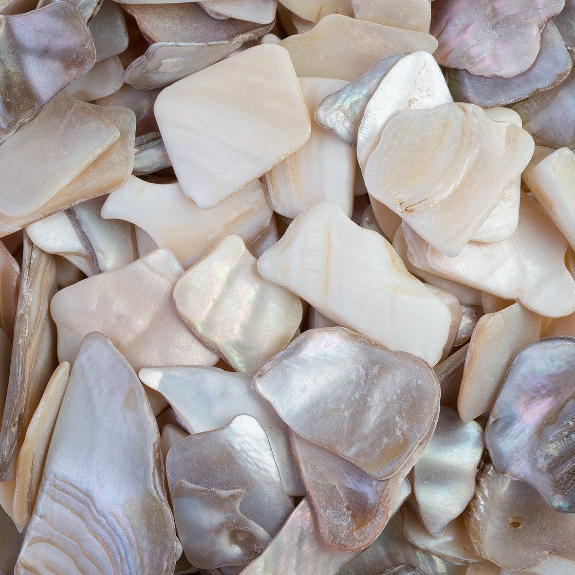 Bastelnaturmaterial Natur