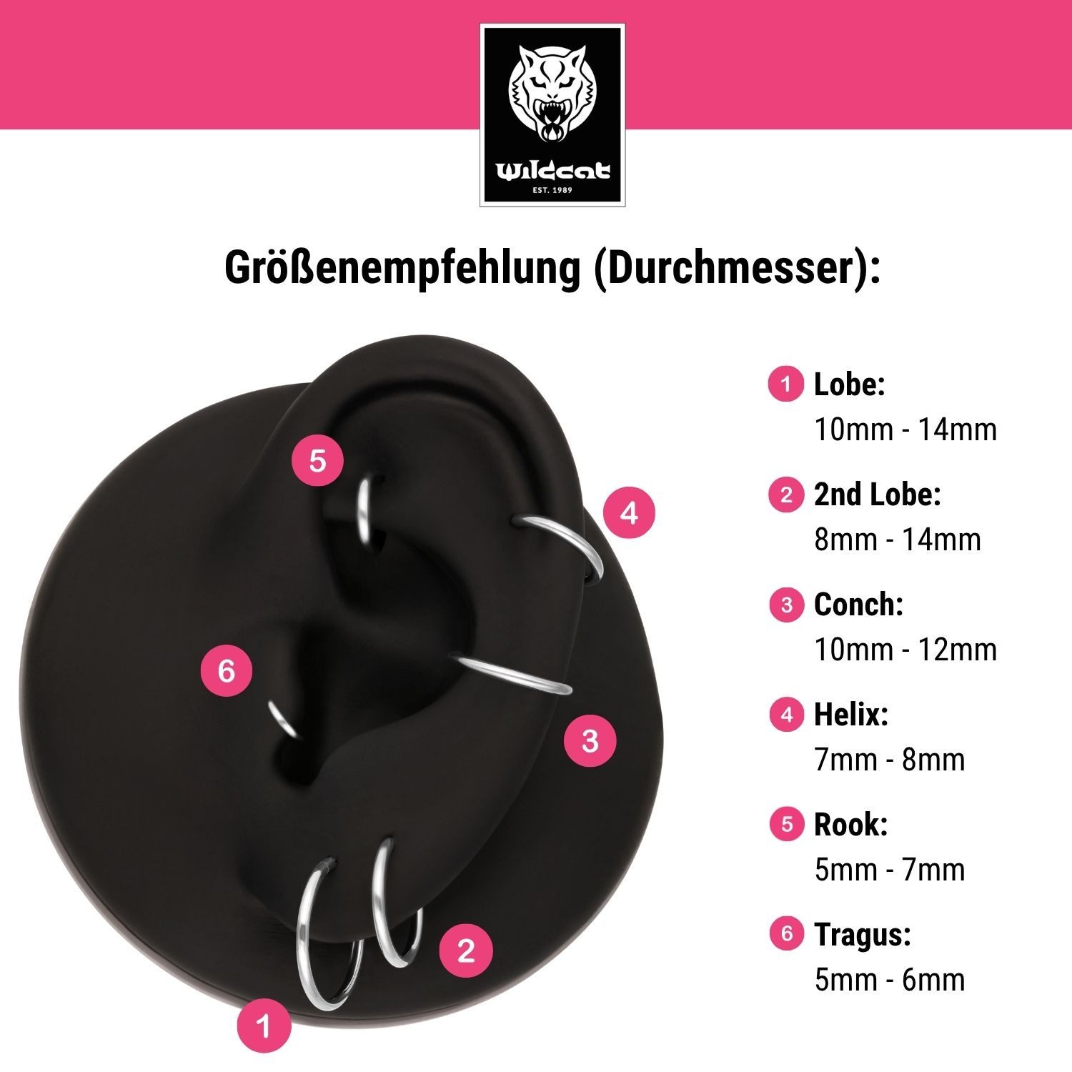 Wildcat Nasenpiercing Hinged Ring für Ohr, Nase, Lippe, Bauchnabel, 1 Stück, Titan Grad 23 - wasserfest, hautverträglich, Weißgold – Bild 5 von 5