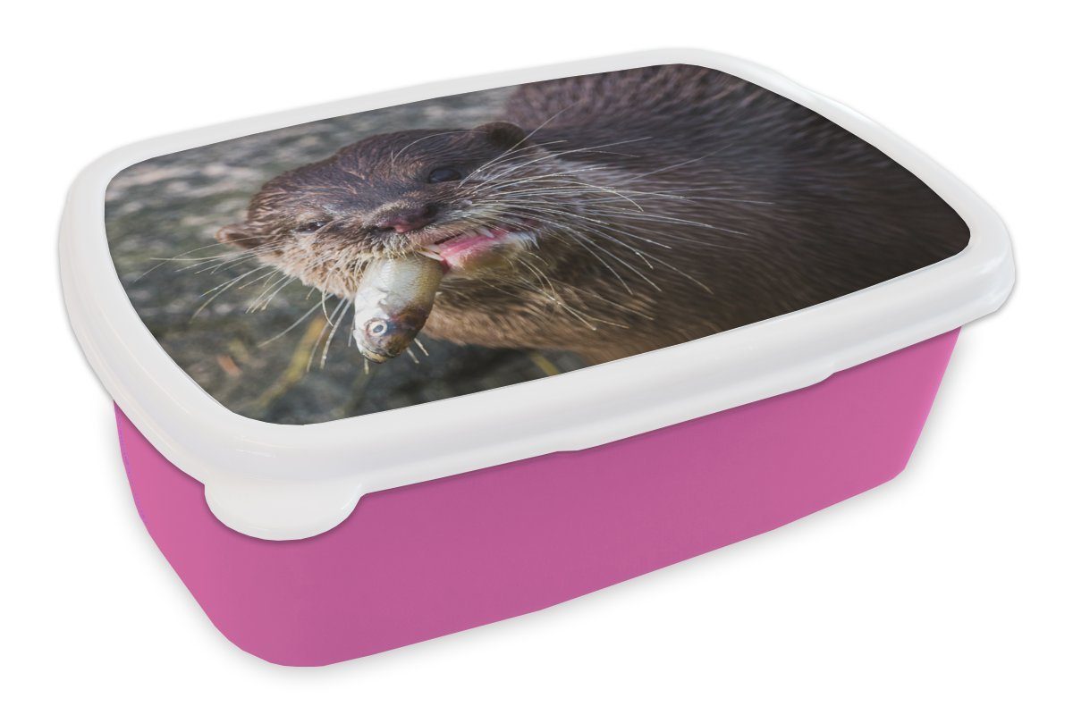 Erwachsene, Kunststoff, (2-tlg), Lunchbox MuchoWow Otter Fisch, Kunststoff frisst Kinder, rosa Snackbox, Mädchen, Brotbox Brotdose für