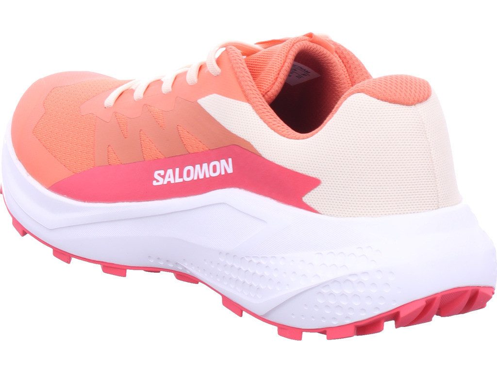 Salomon Alphaglide W Wanderschuh günstig online kaufen