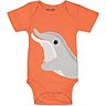 Orange - Delfin